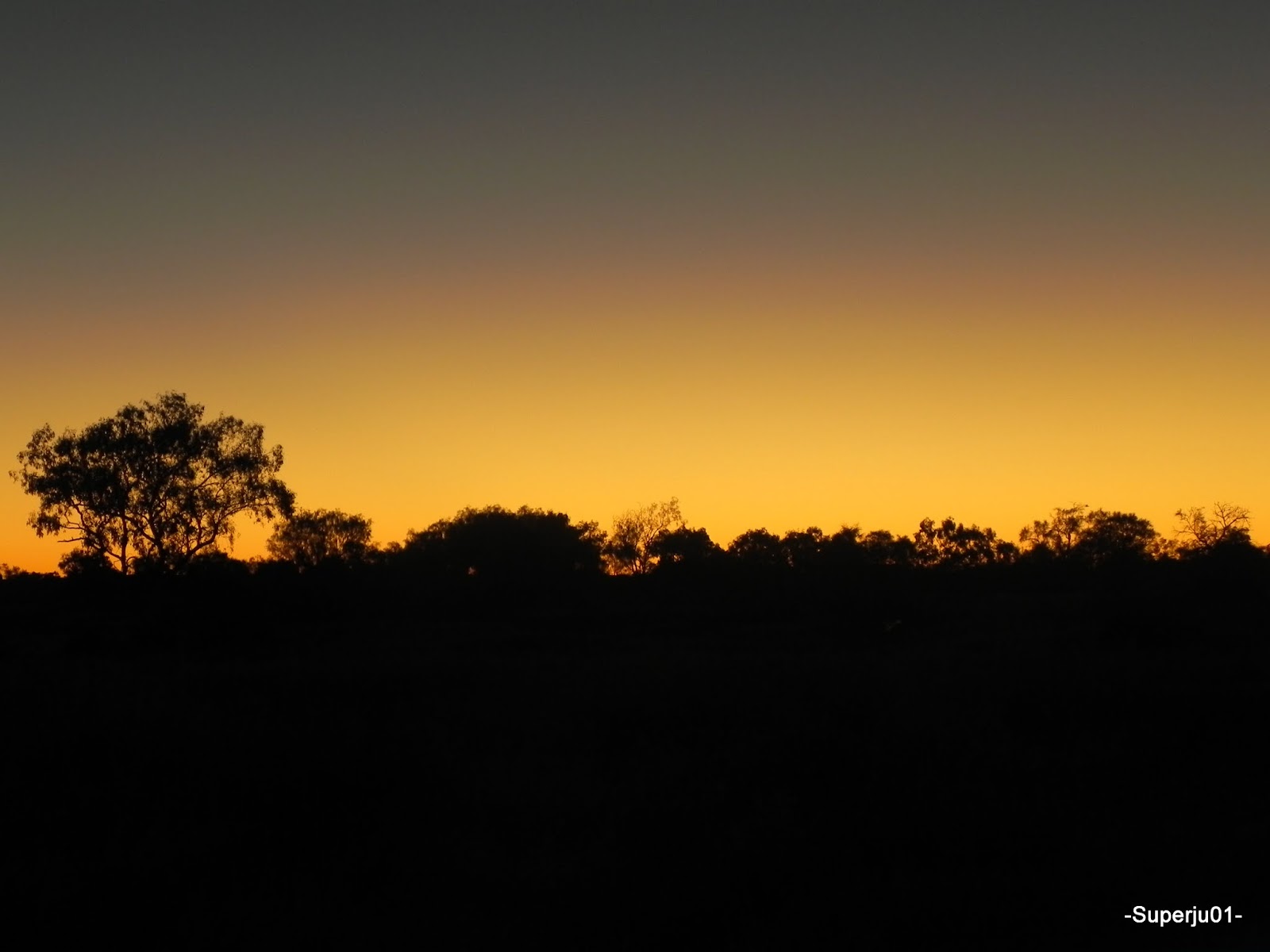 Taylor Creek Rest Area 3