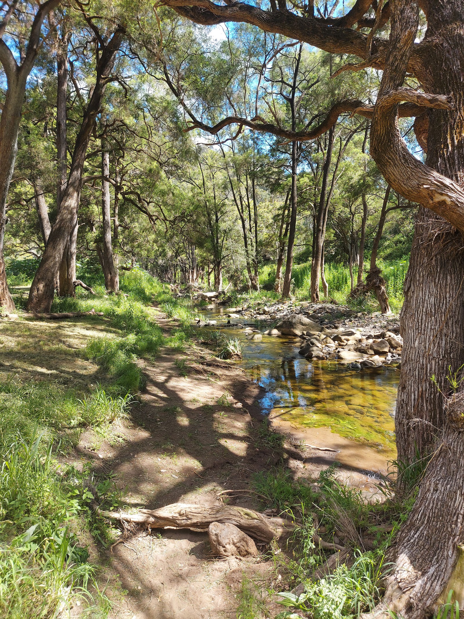 Heifer Creek 2
