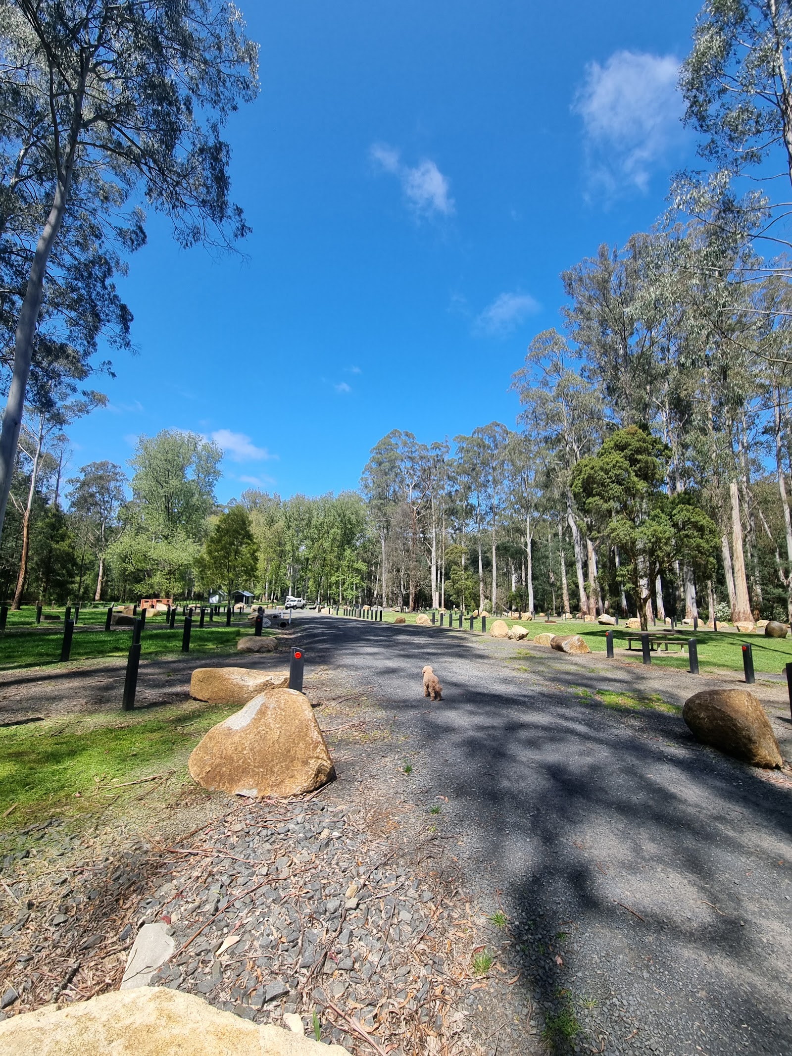 Loch Valley Campground 2