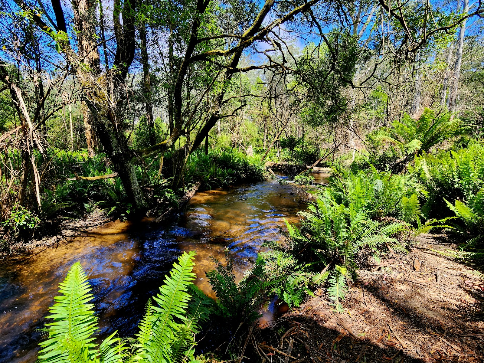 Loch Valley Campground 3