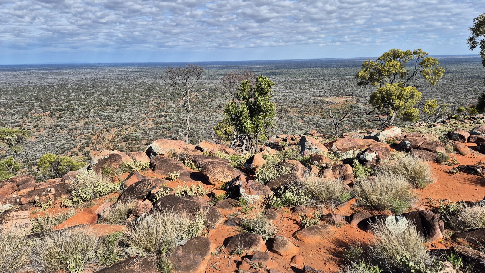 Mount Oxley, Rossmore Station Bourke NSW 3