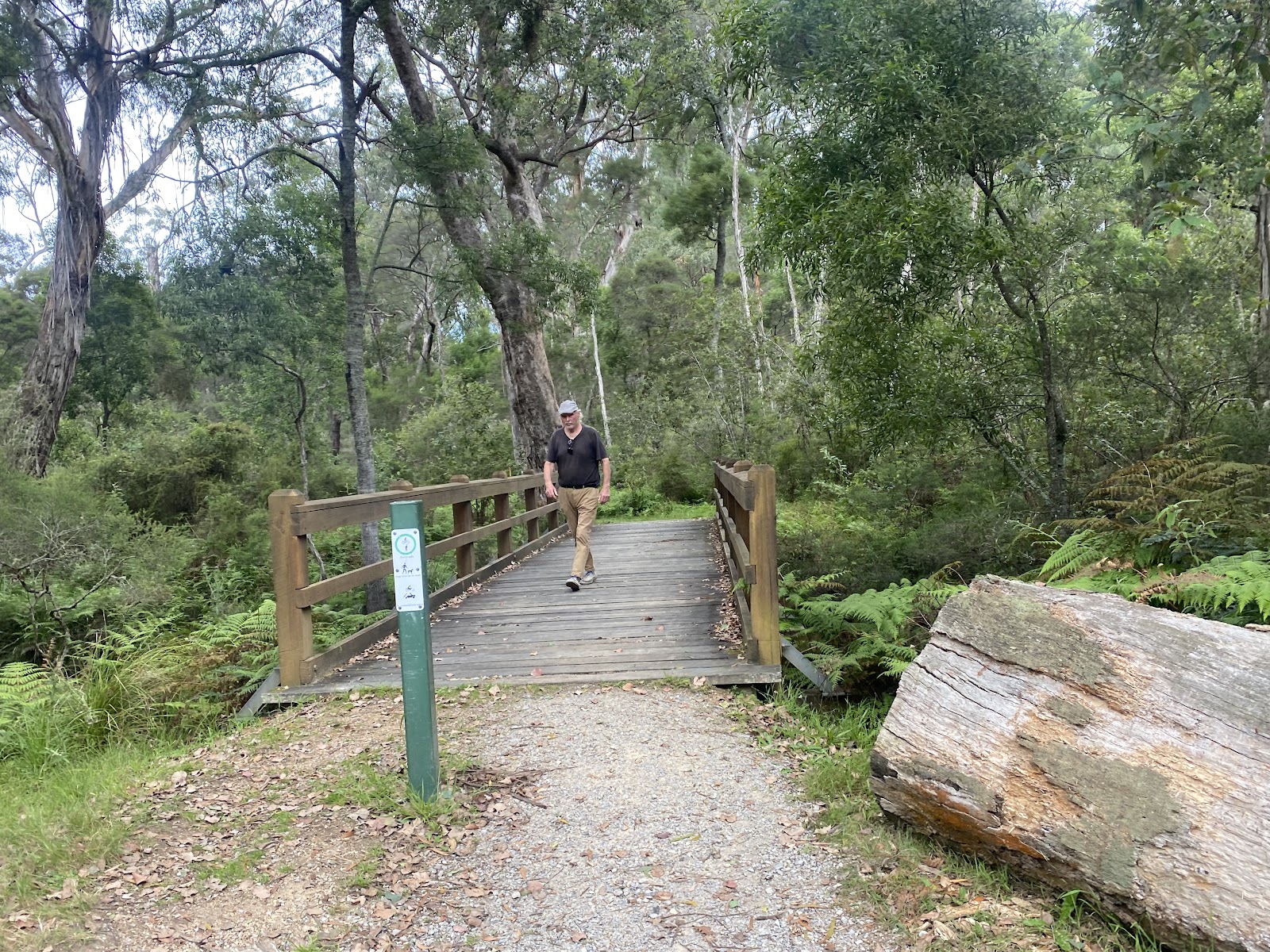 Log Crossing Picnic Area 3
