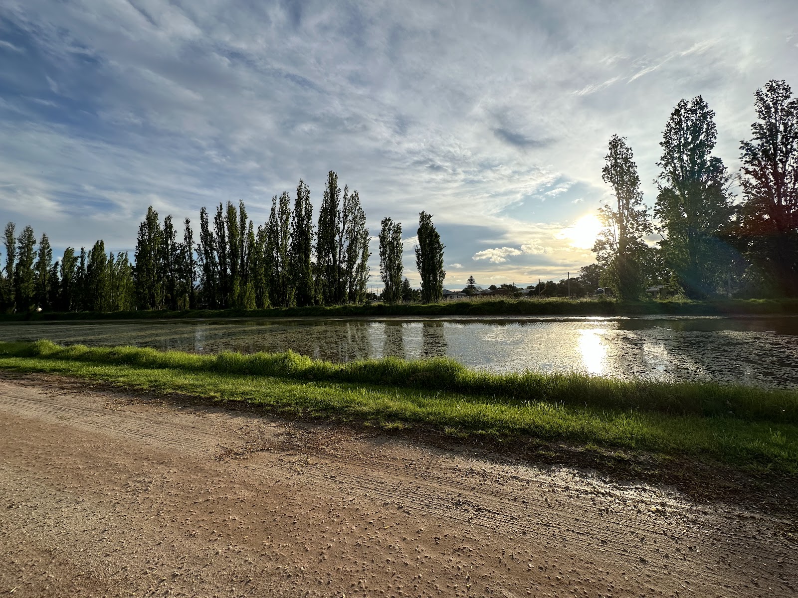 The Willows 2