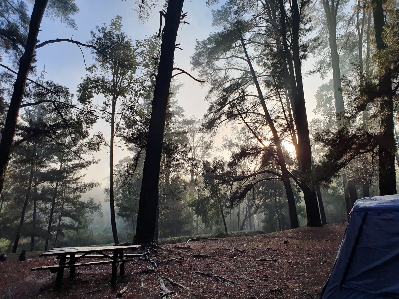Nanga Mill Campground 6
