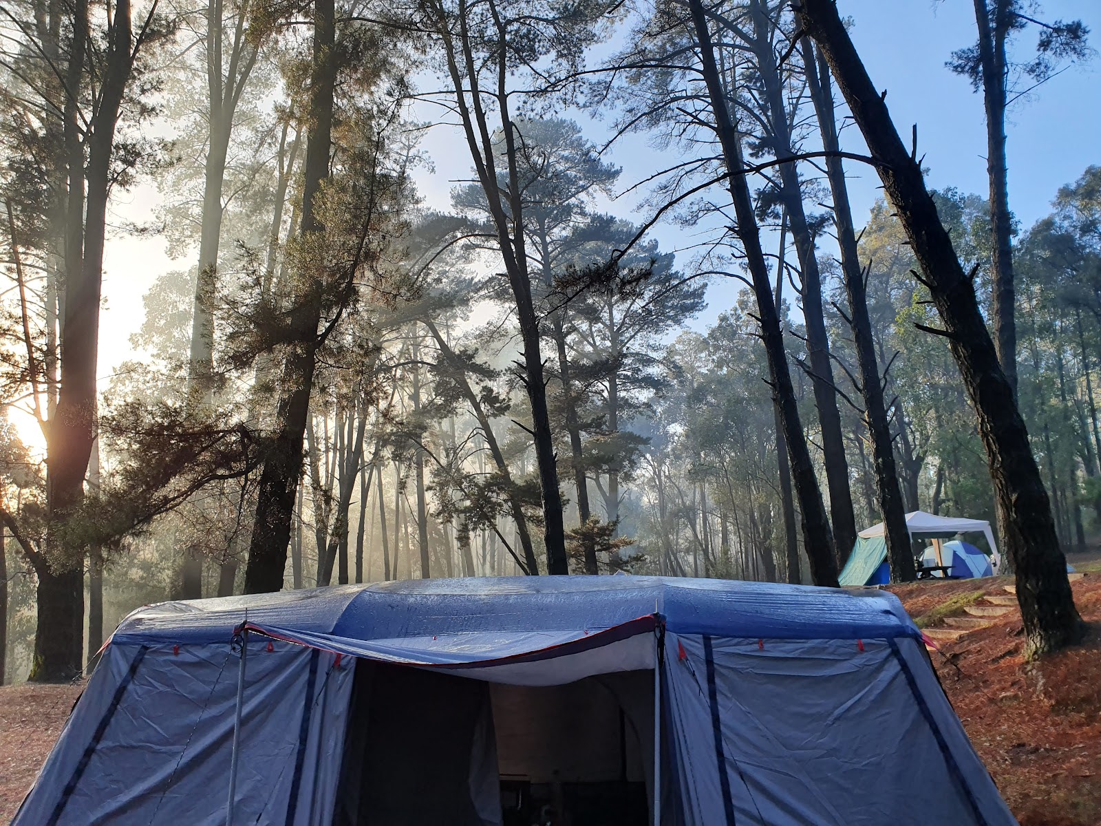Nanga Mill Campground 9