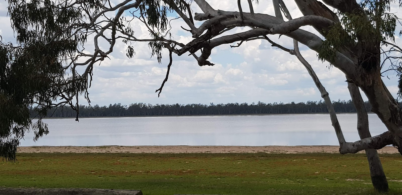 Wilga Bush Camping Area 2
