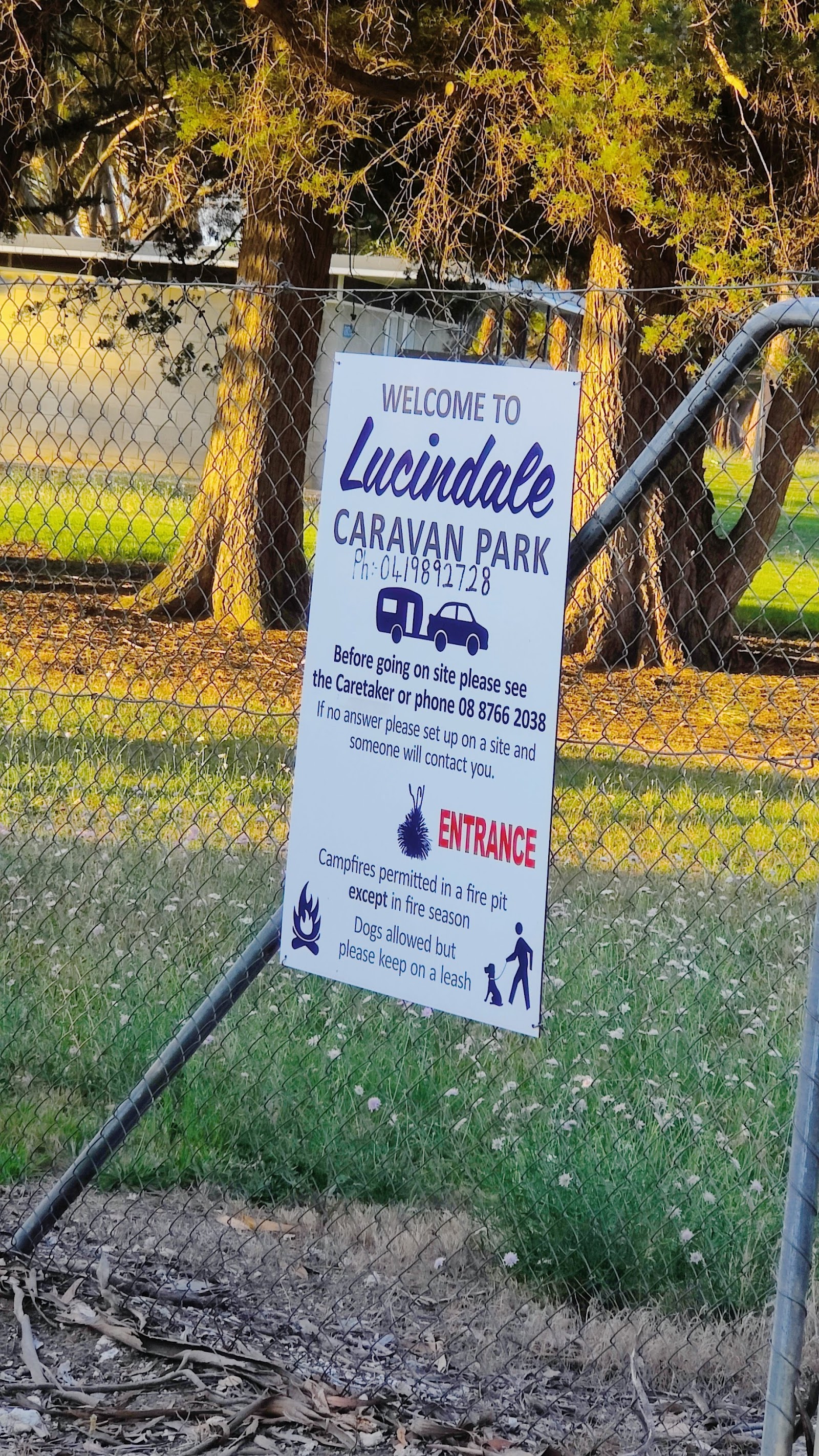 Lucindale showground caravan park 2