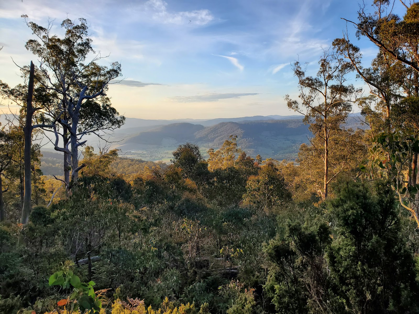 Ben Lomond Campground 2