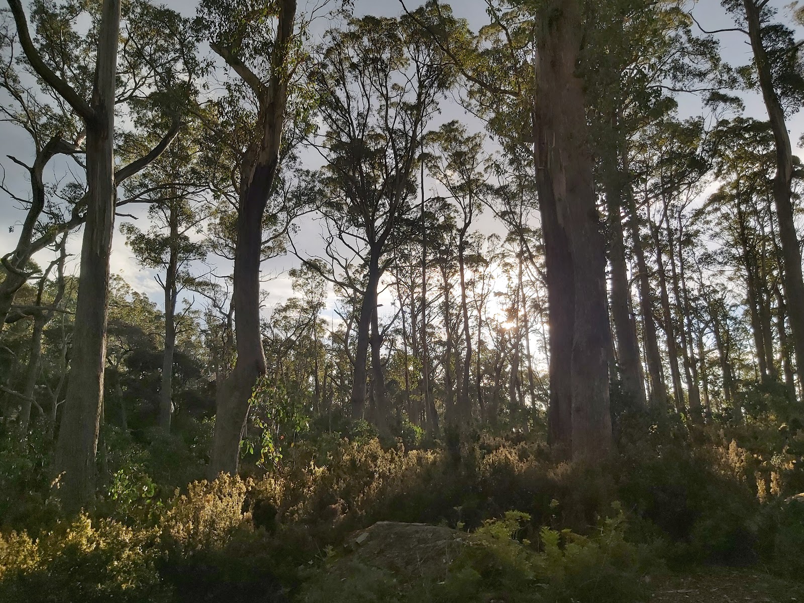 Ben Lomond Campground 3