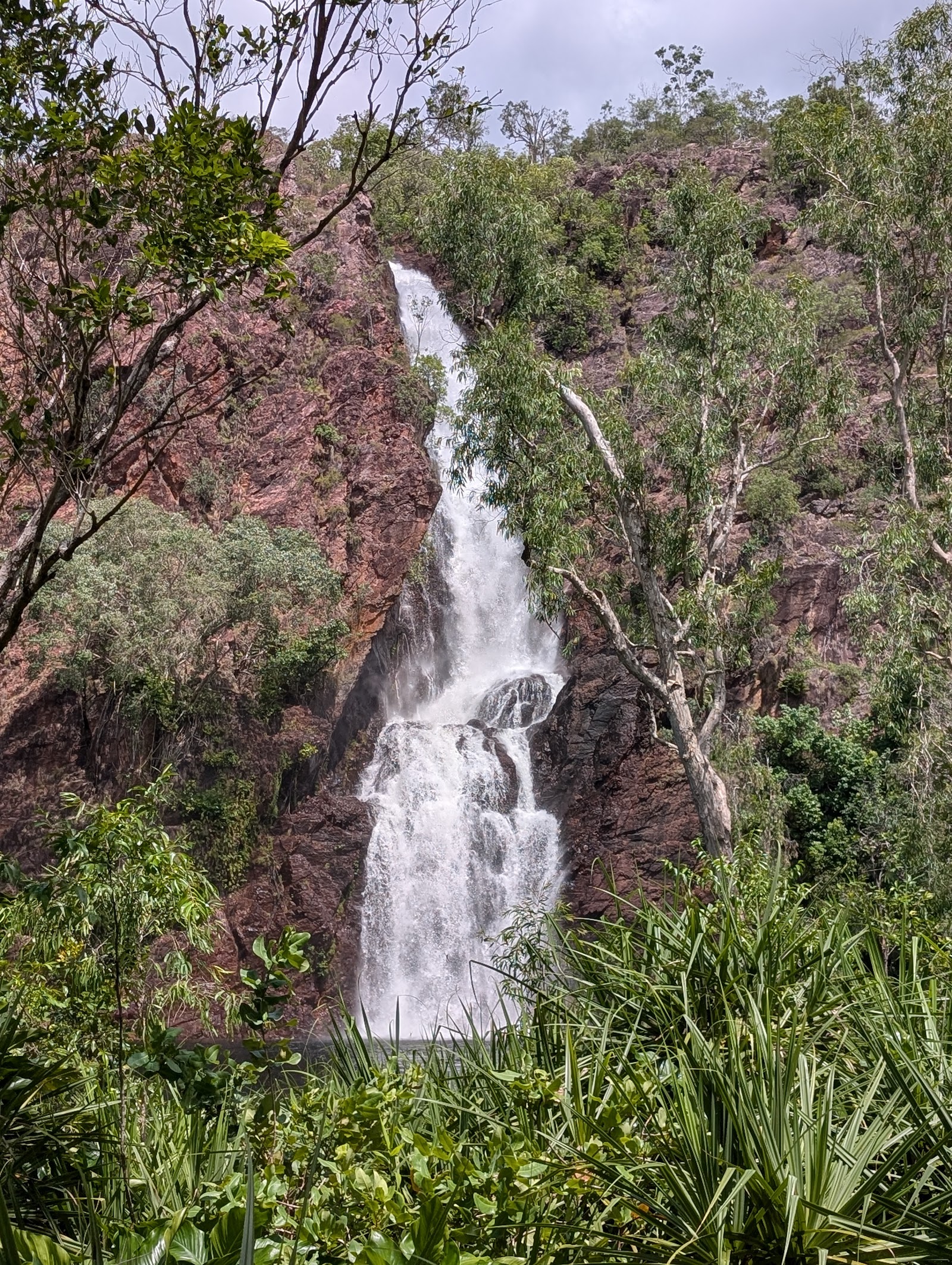 Wangi Falls Campground 3