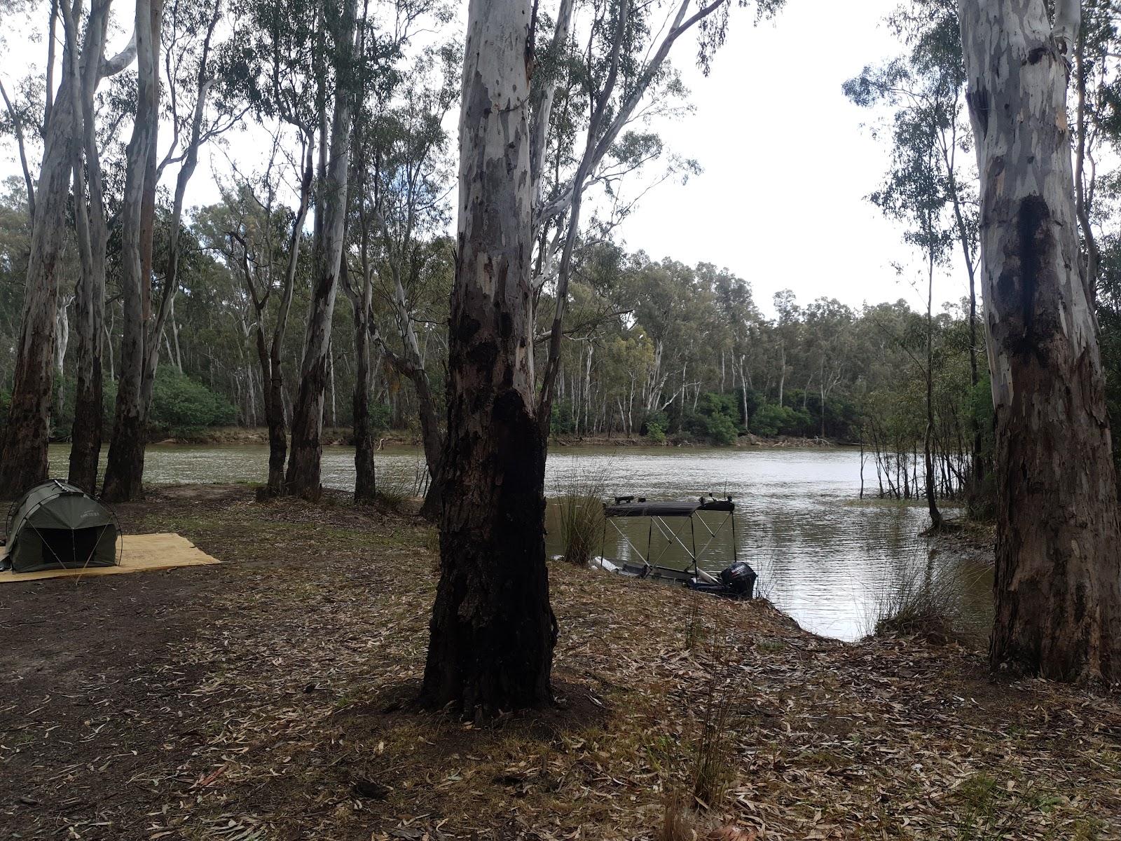 Barmah National Park 6