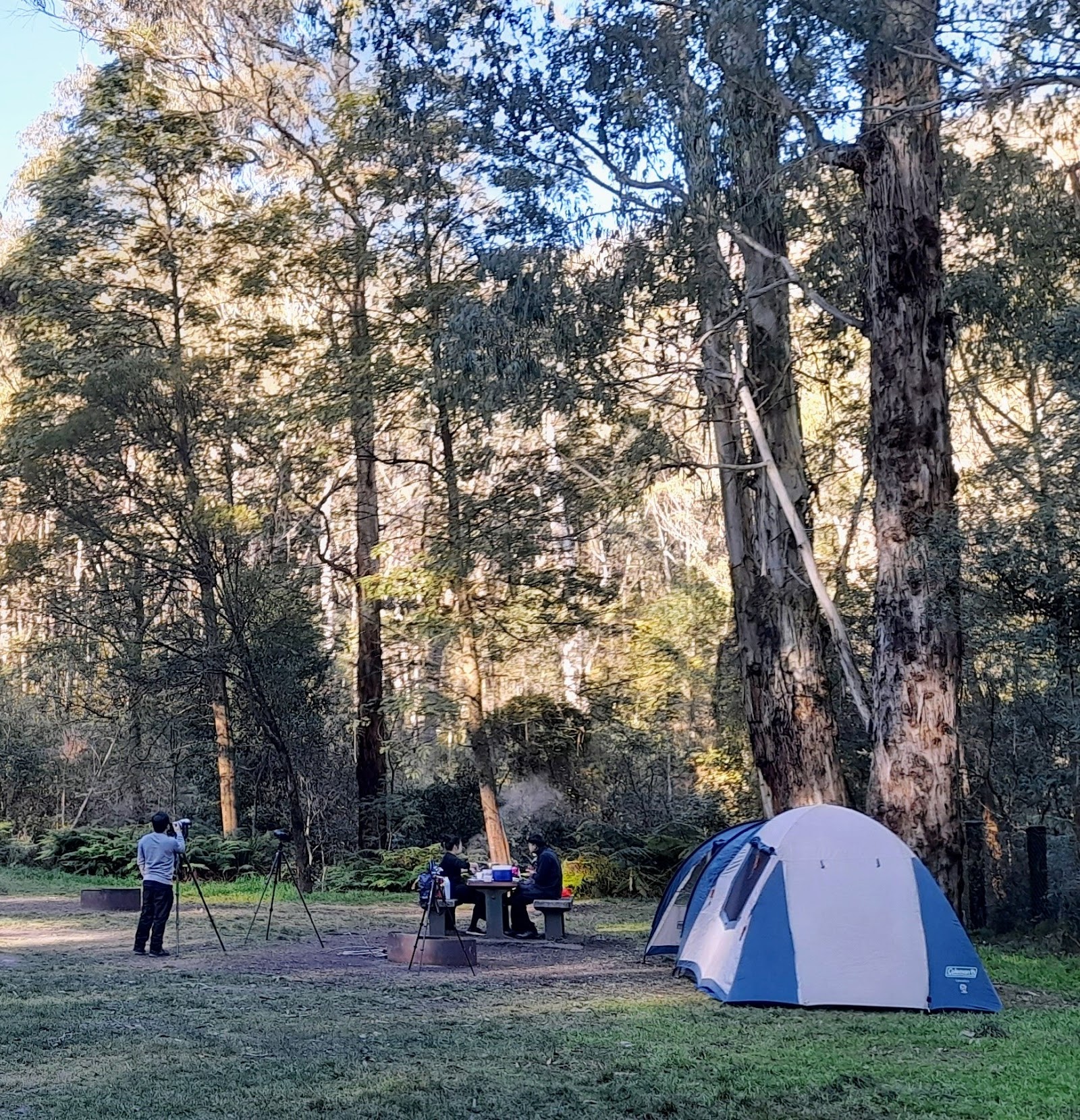 Blackheath Glen Reserve 2