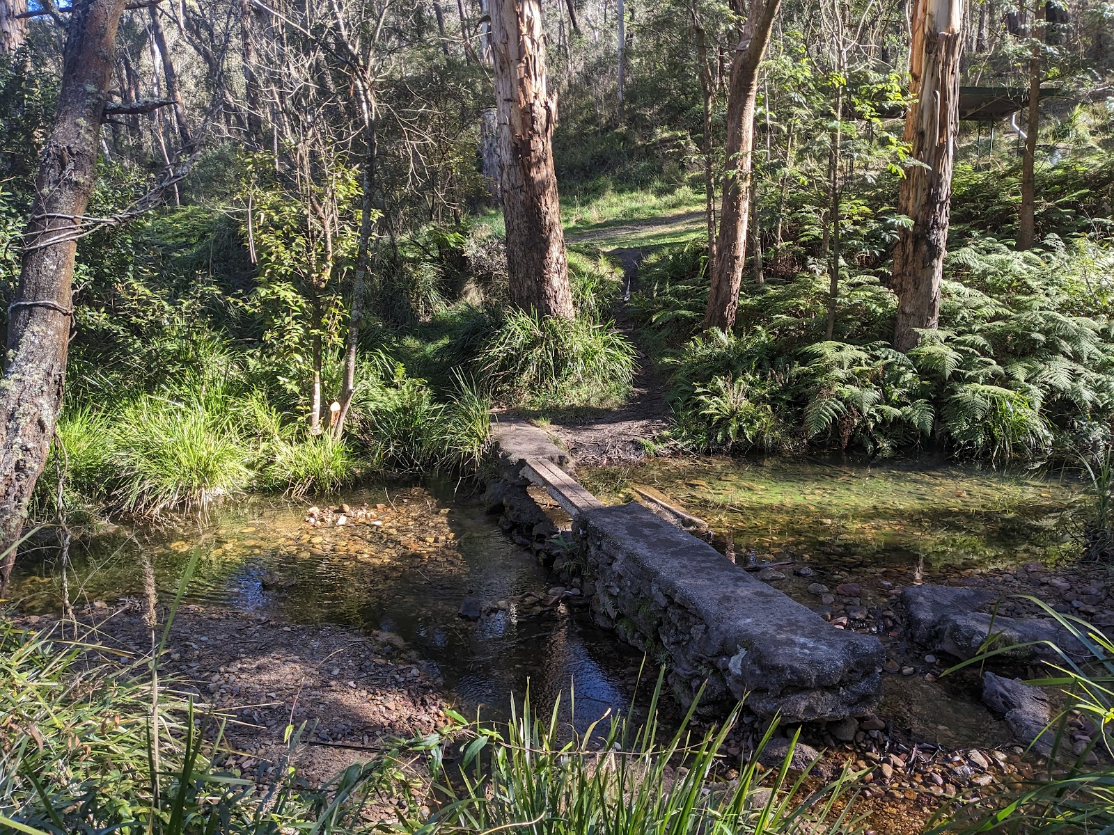 Blackheath Glen Reserve 3