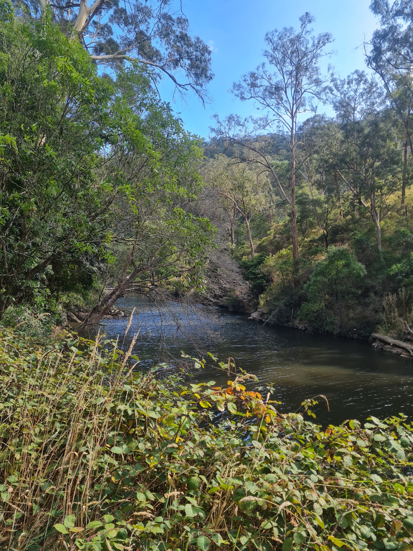Wirilda Environment Park 2
