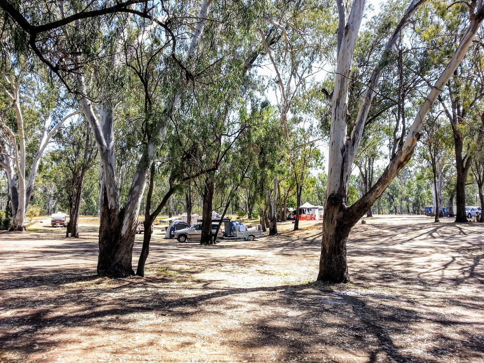 Dawson River Rest Area / Moura Apex River Park 2