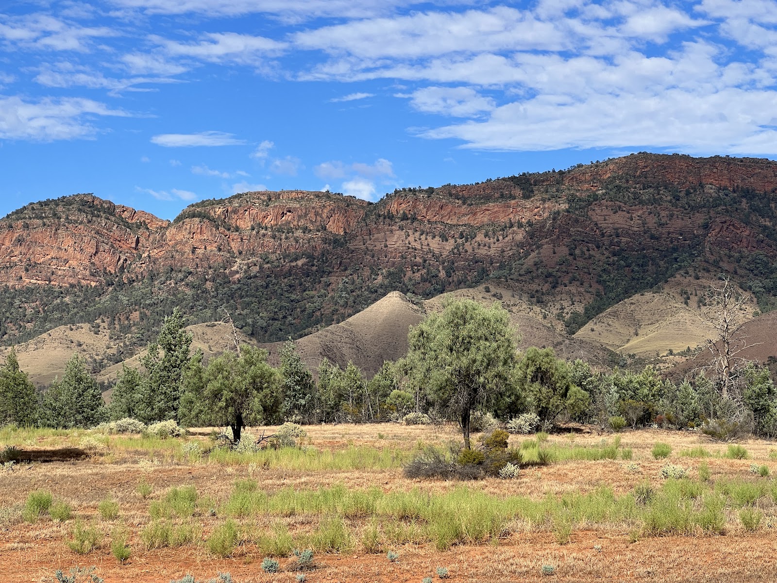 Aroona Campground 2