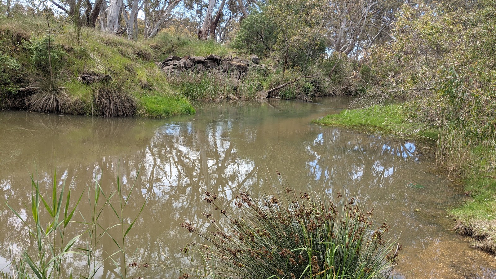 Hamilton's Crossing 3