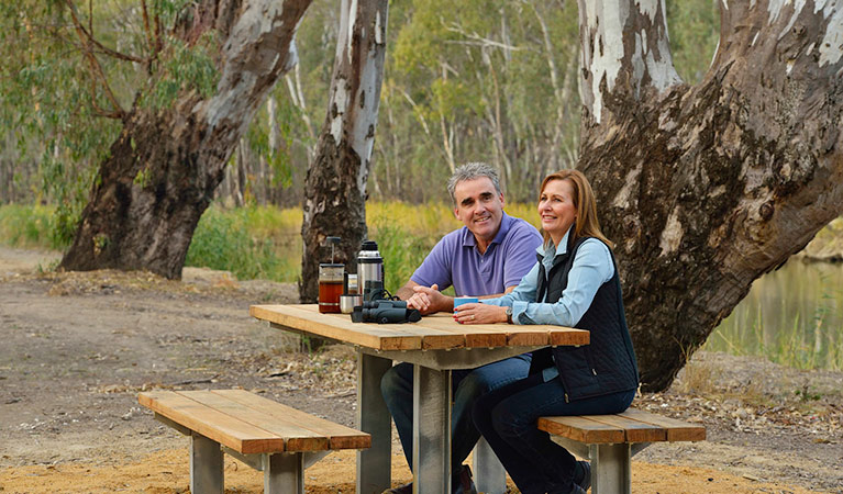 Swifts Creek campground 5