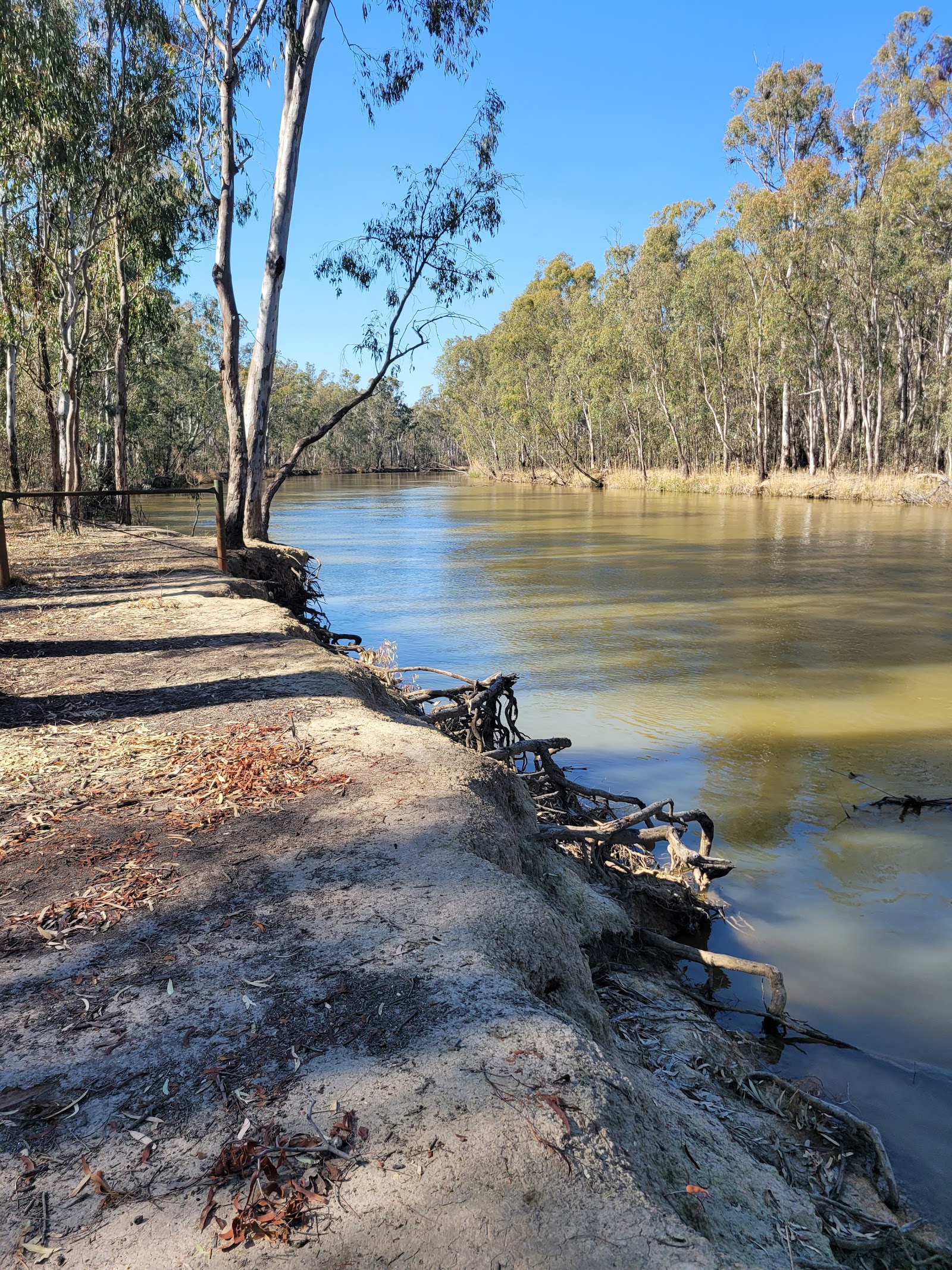 Swifts Creek campground 11