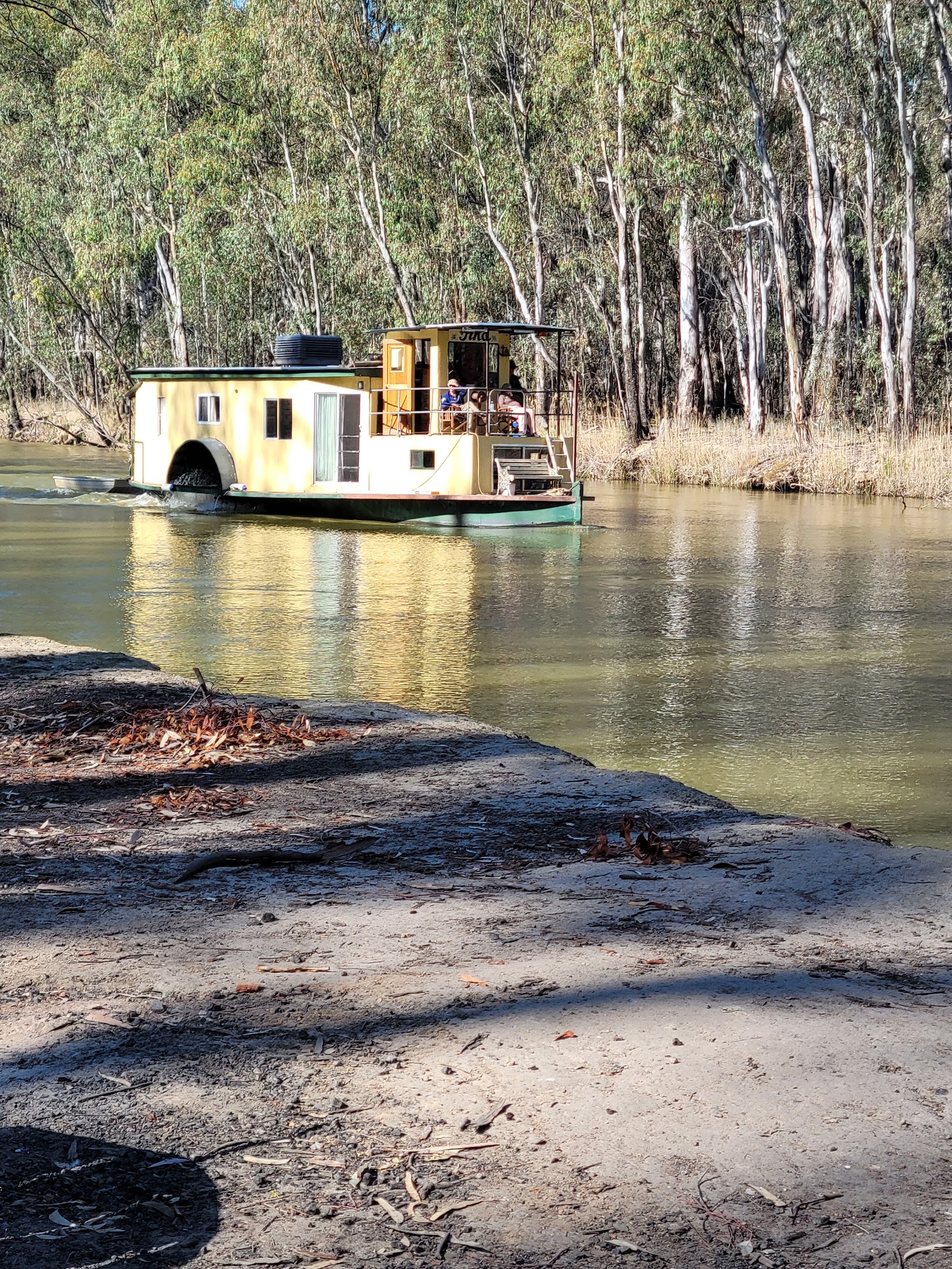 Swifts Creek campground 12