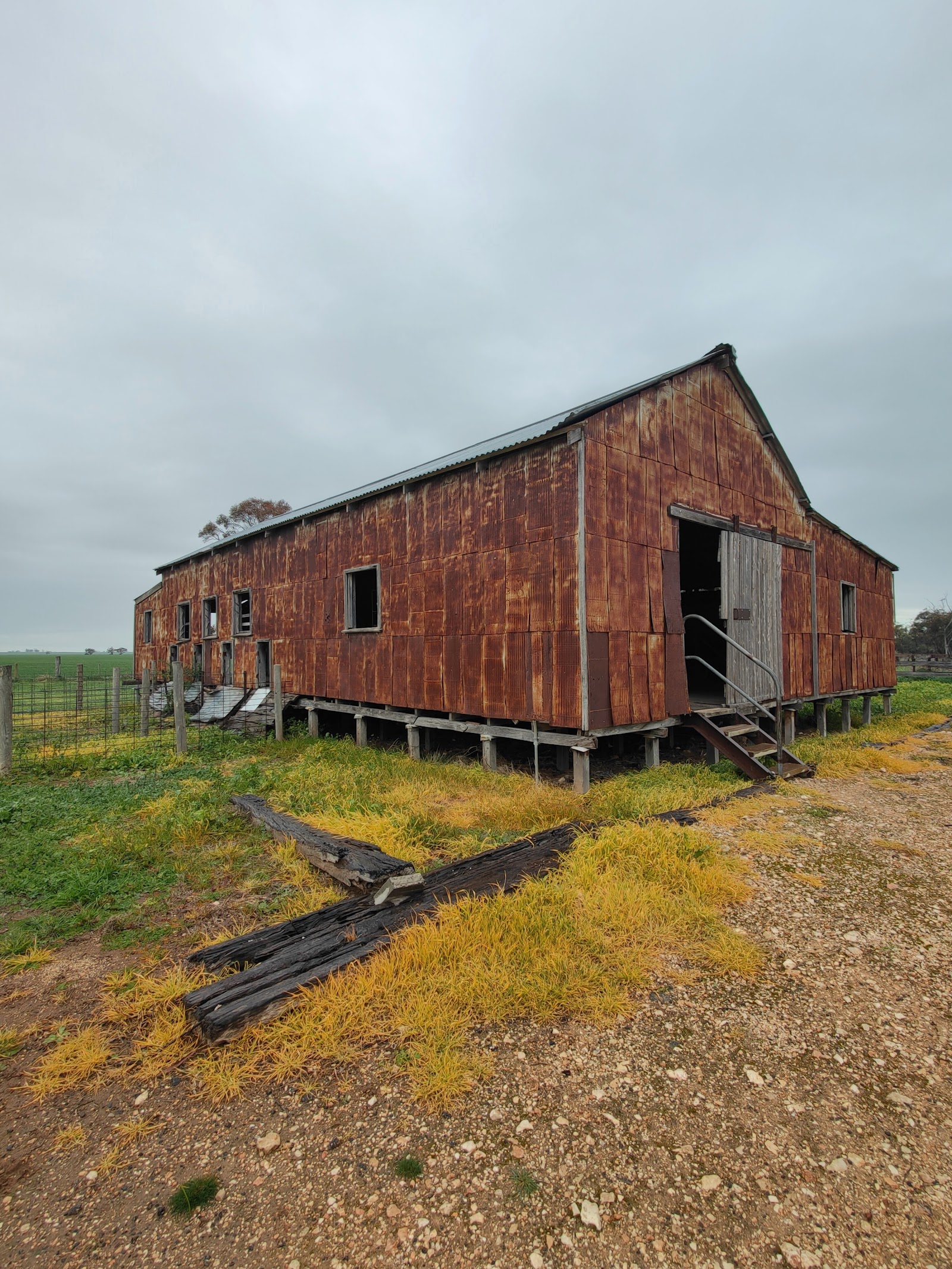 Woomelang Bushland Reserve 2