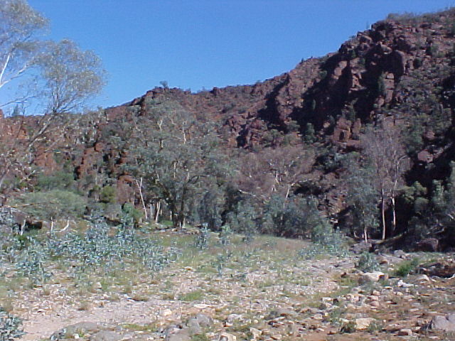 Weetootla Gorge 2