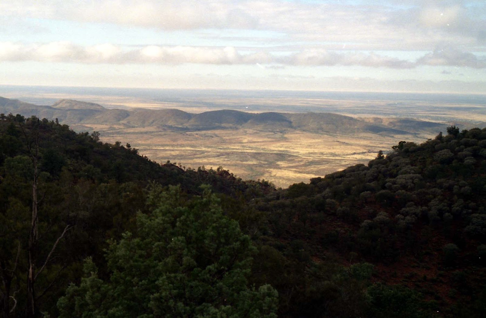 Weetootla Gorge 4