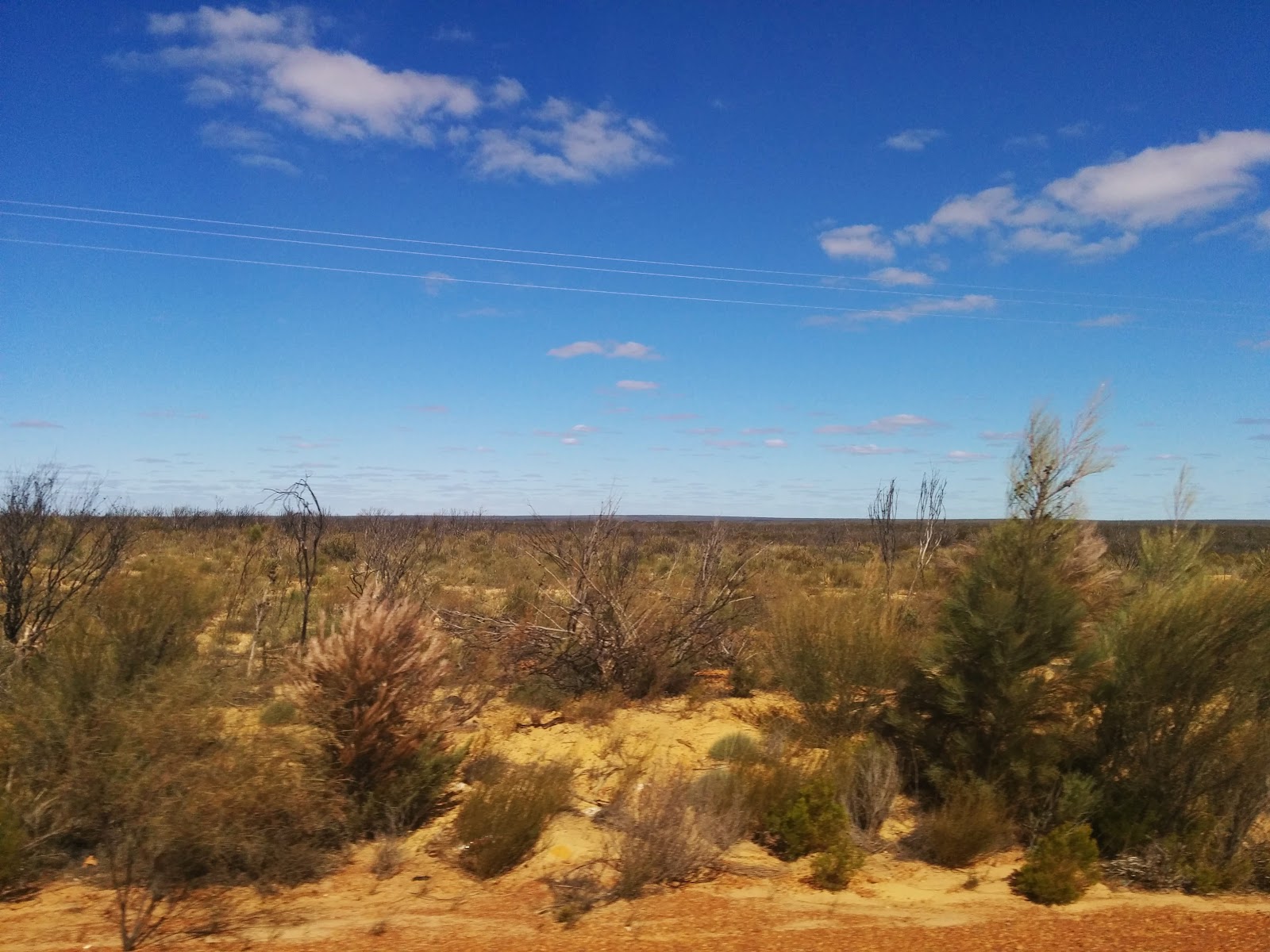 Boorabbin National Park 2