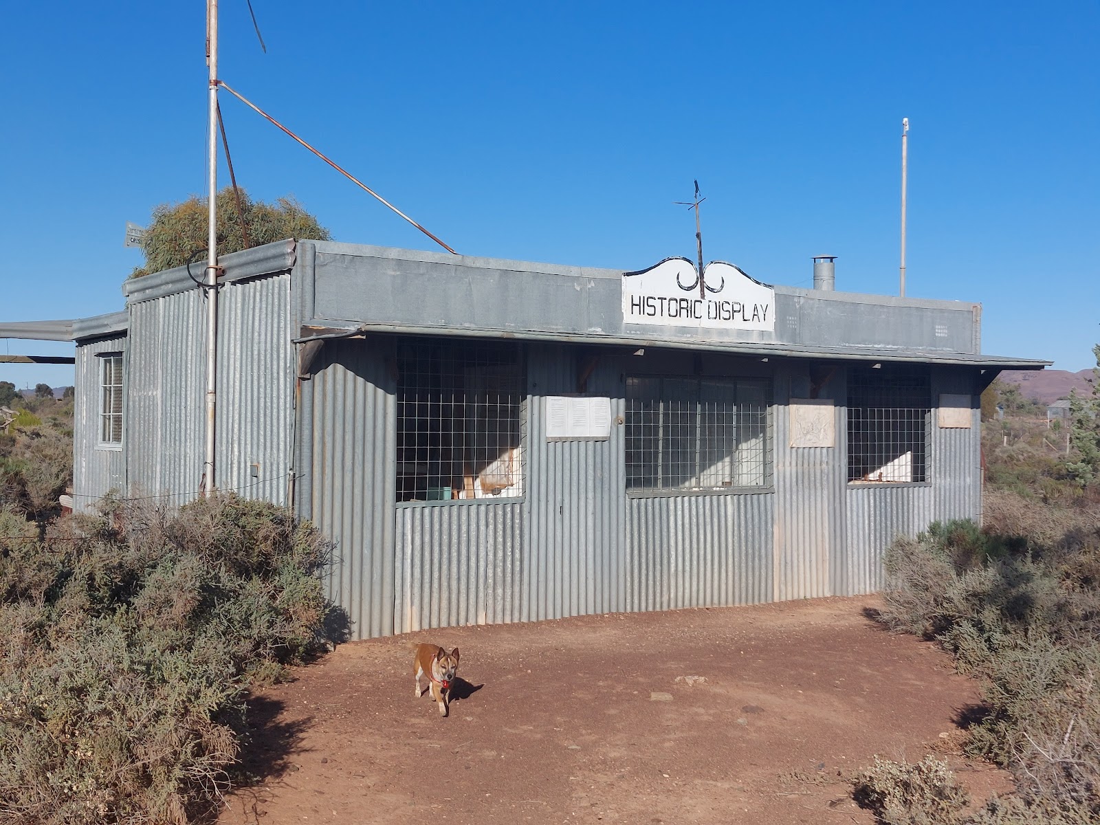 Beltana Historic Town 4