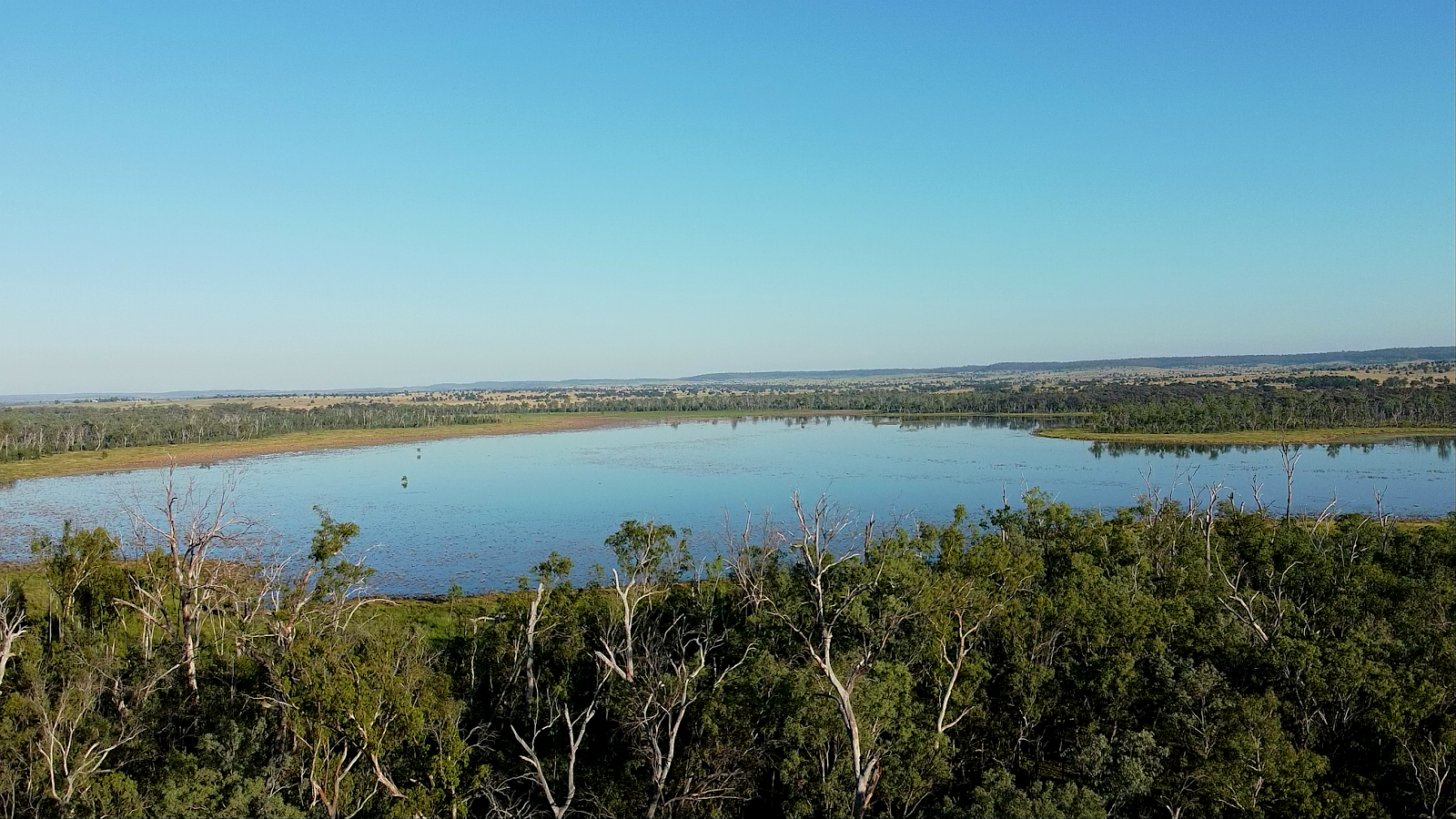 Lake Murphy Conservation Park 2