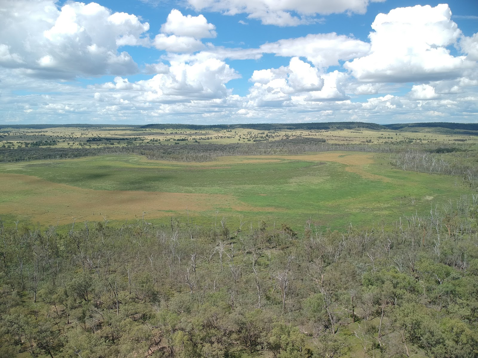 Lake Murphy Conservation Park 3