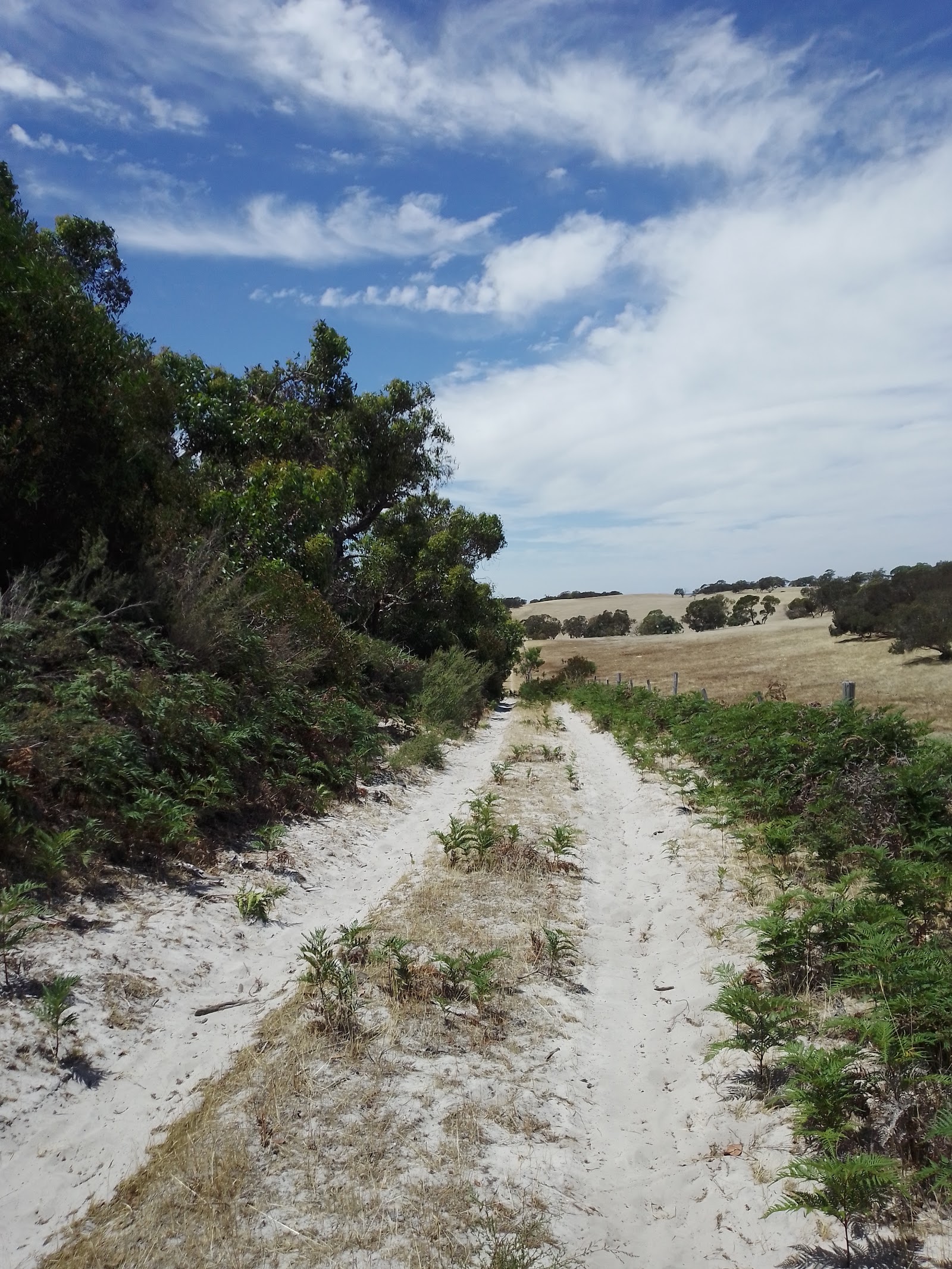 Mount Scott Conservation Park 2