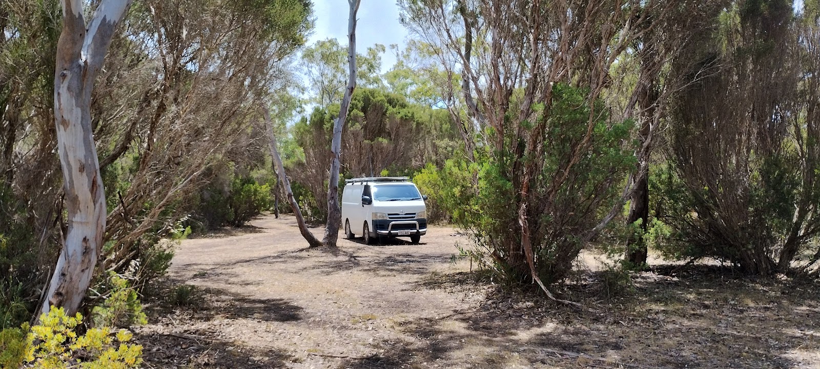 Mount Scott Conservation Park 3