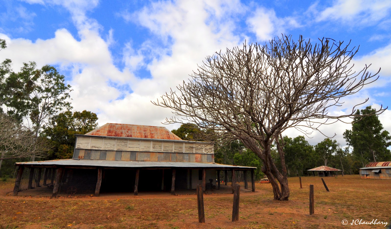 Old Laura Homestead, Rinyirru (Lakefield) National Park (CYPAL) 2