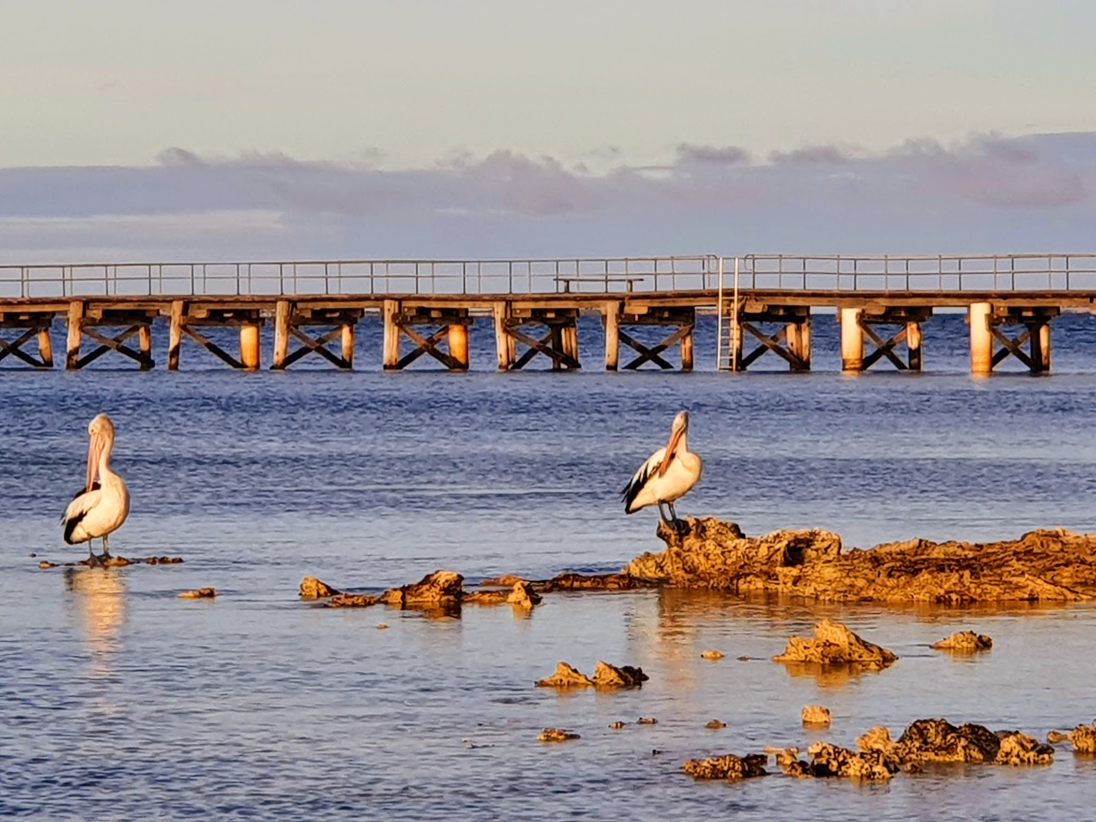 Louth Bay 3
