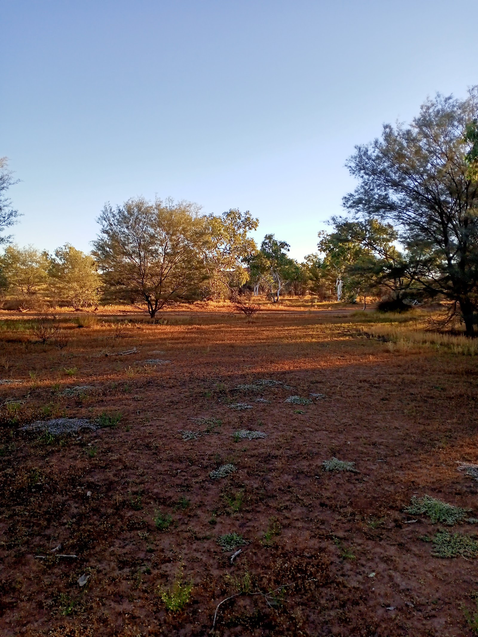 Kiwirrkurra Council Aboriginal Corporation 2