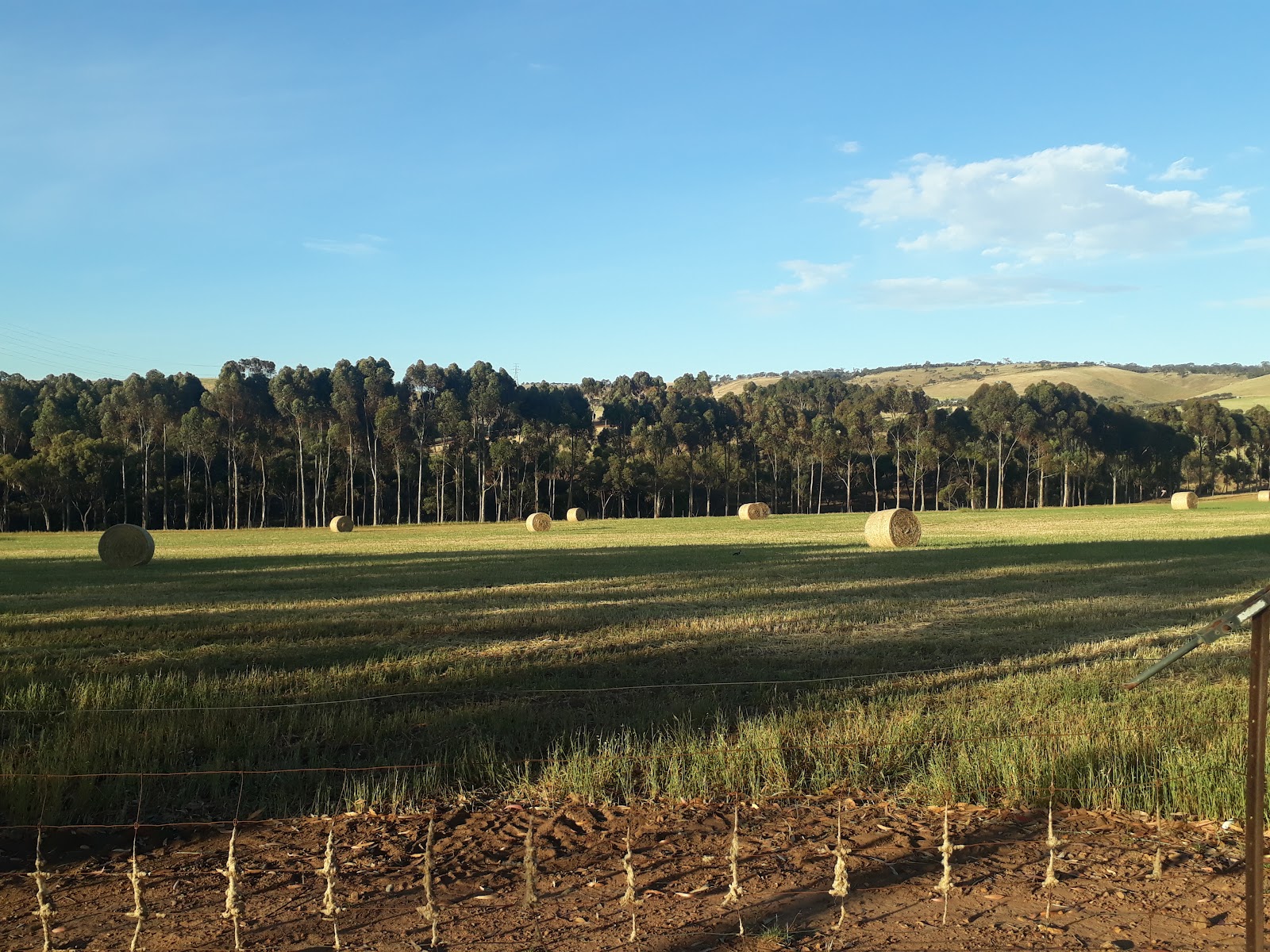 Rockleigh 3