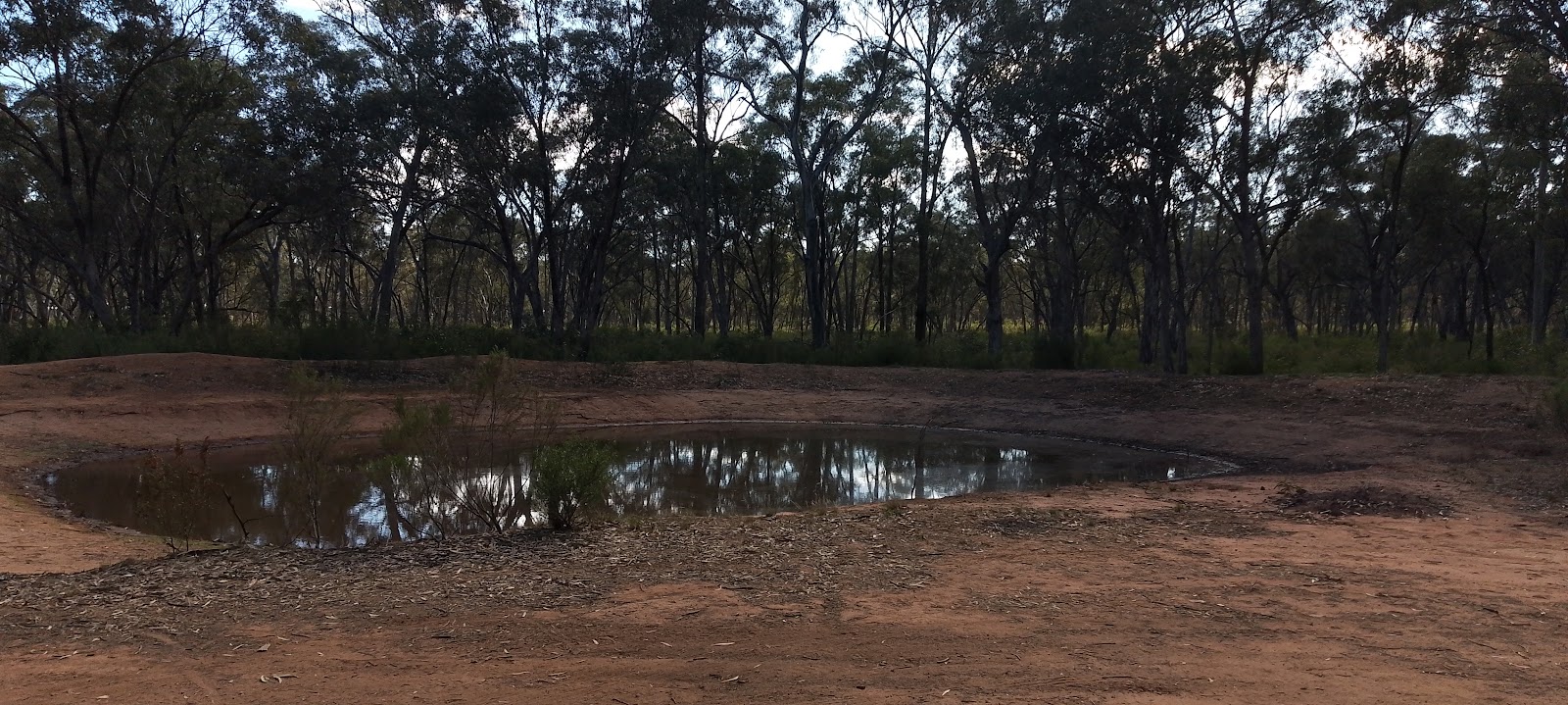 Mulga Dam Camping Area 3