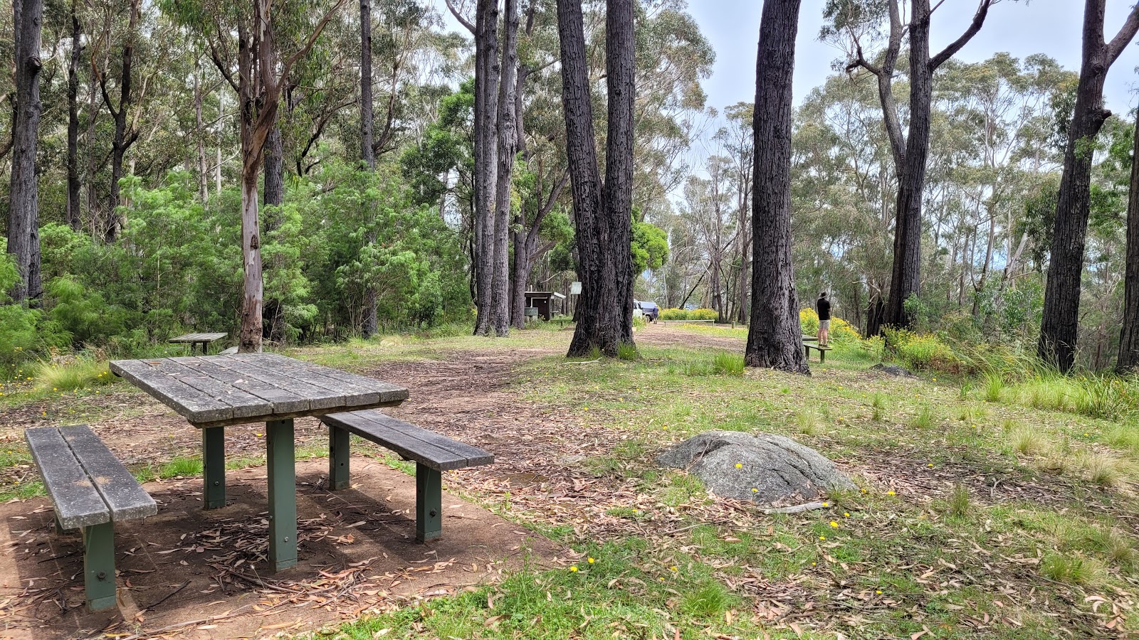 Waratah Gully campground 4