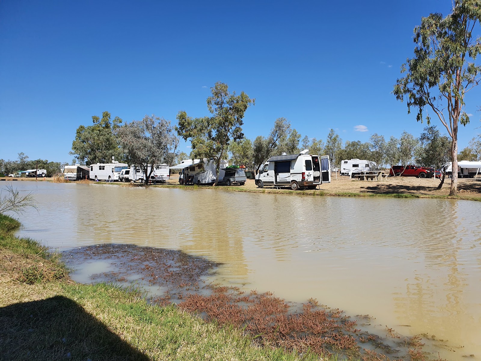 Julia Creek 3