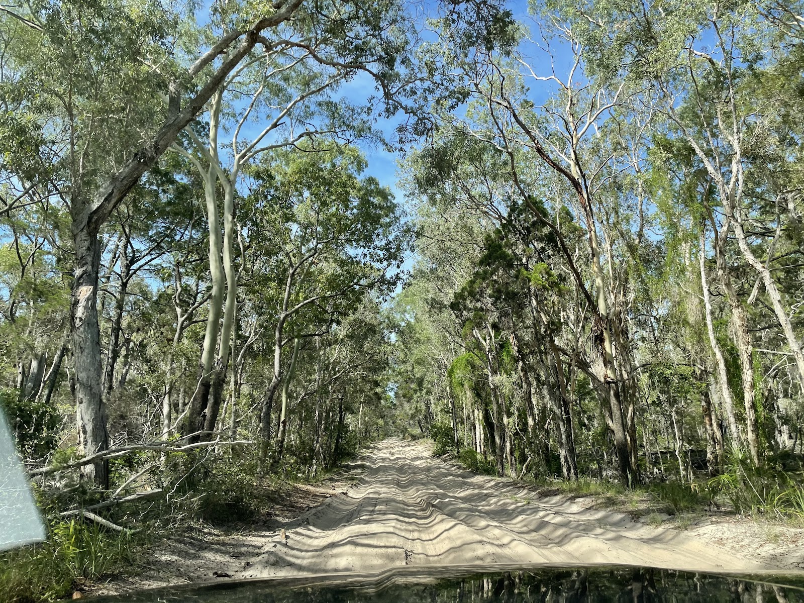 Burrum Point camping area 2