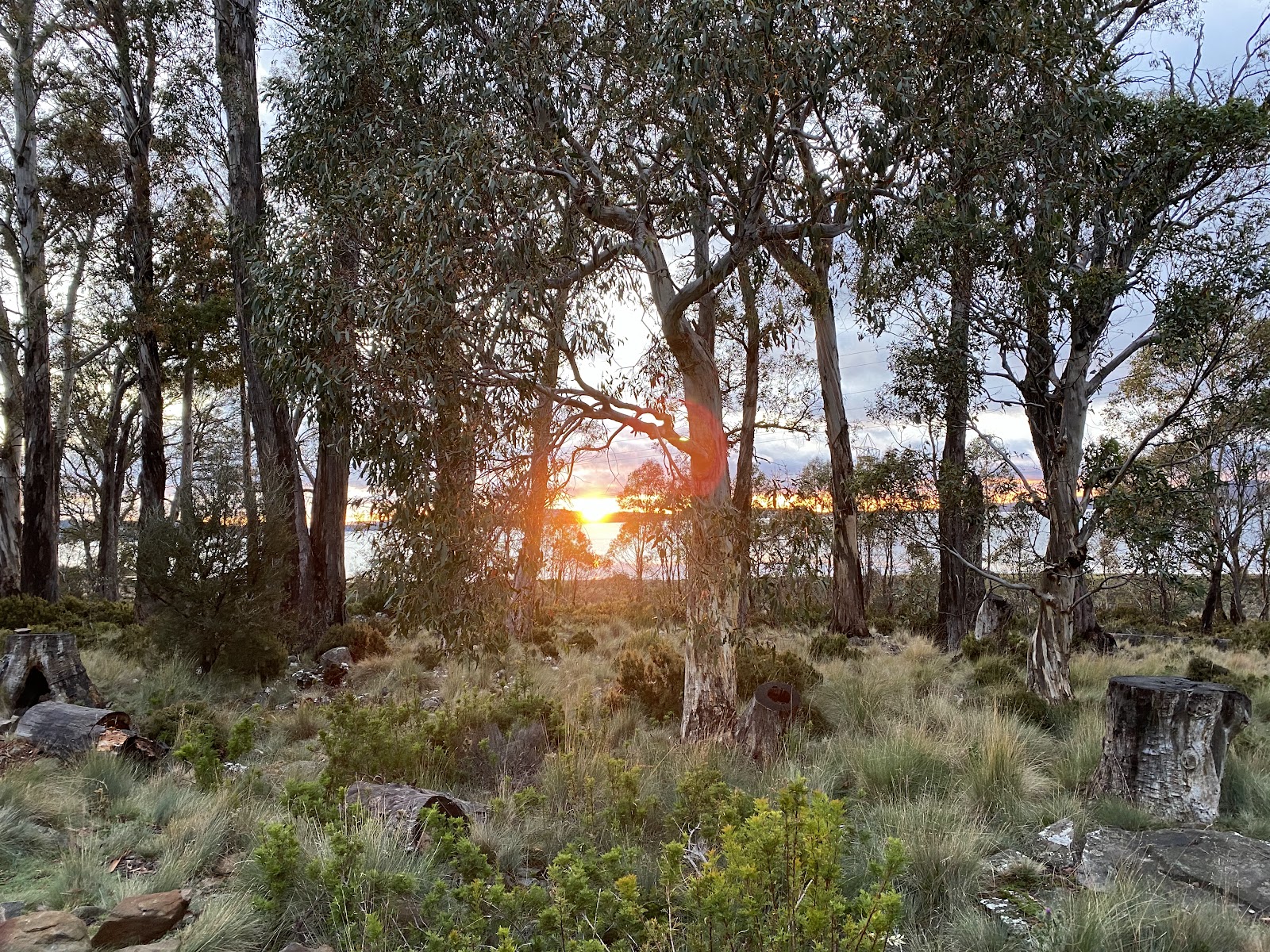 Pump House Bay Campsite 2