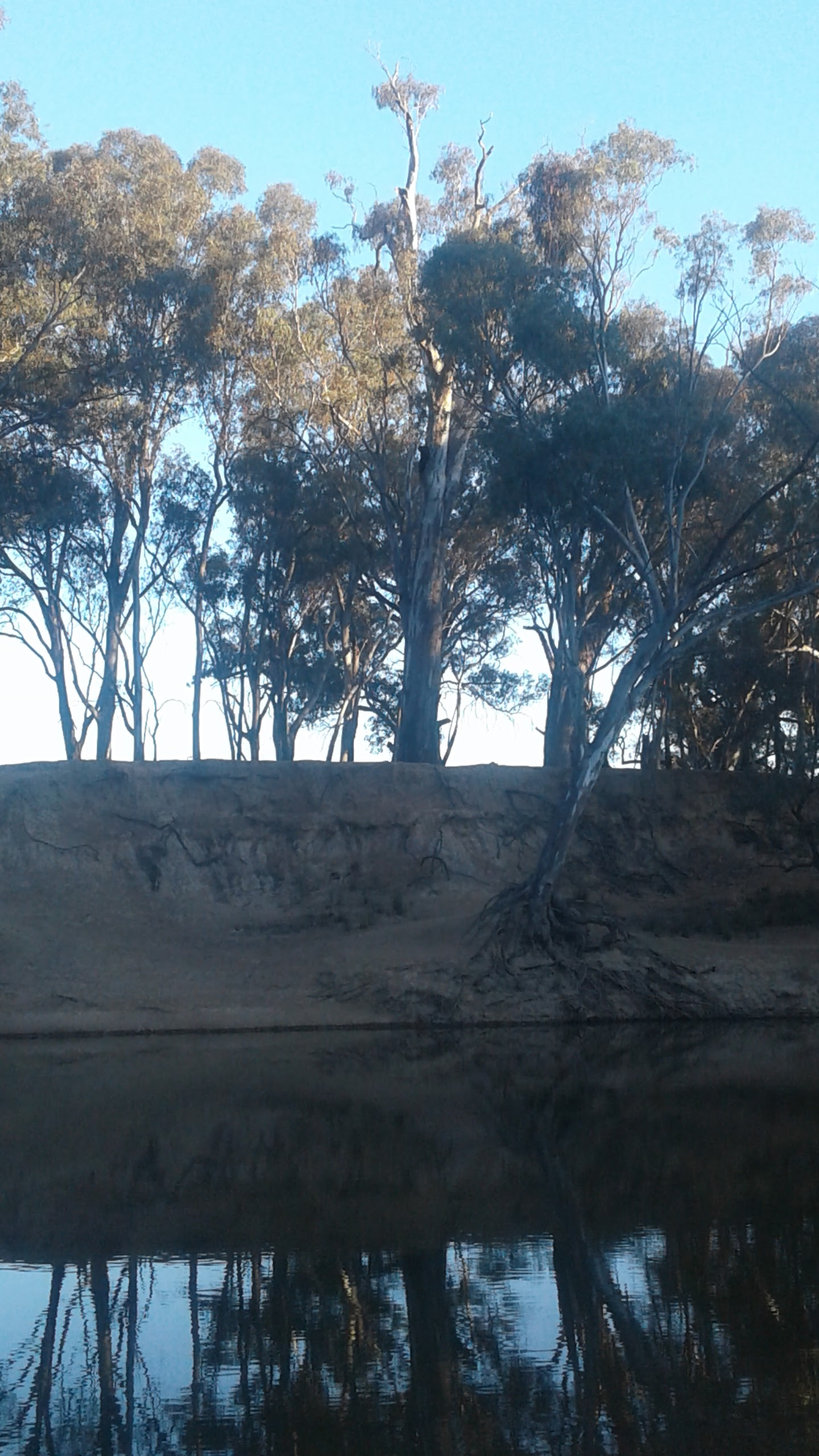 Cemetery Bend, Arcadia Streamside Reserve 2
