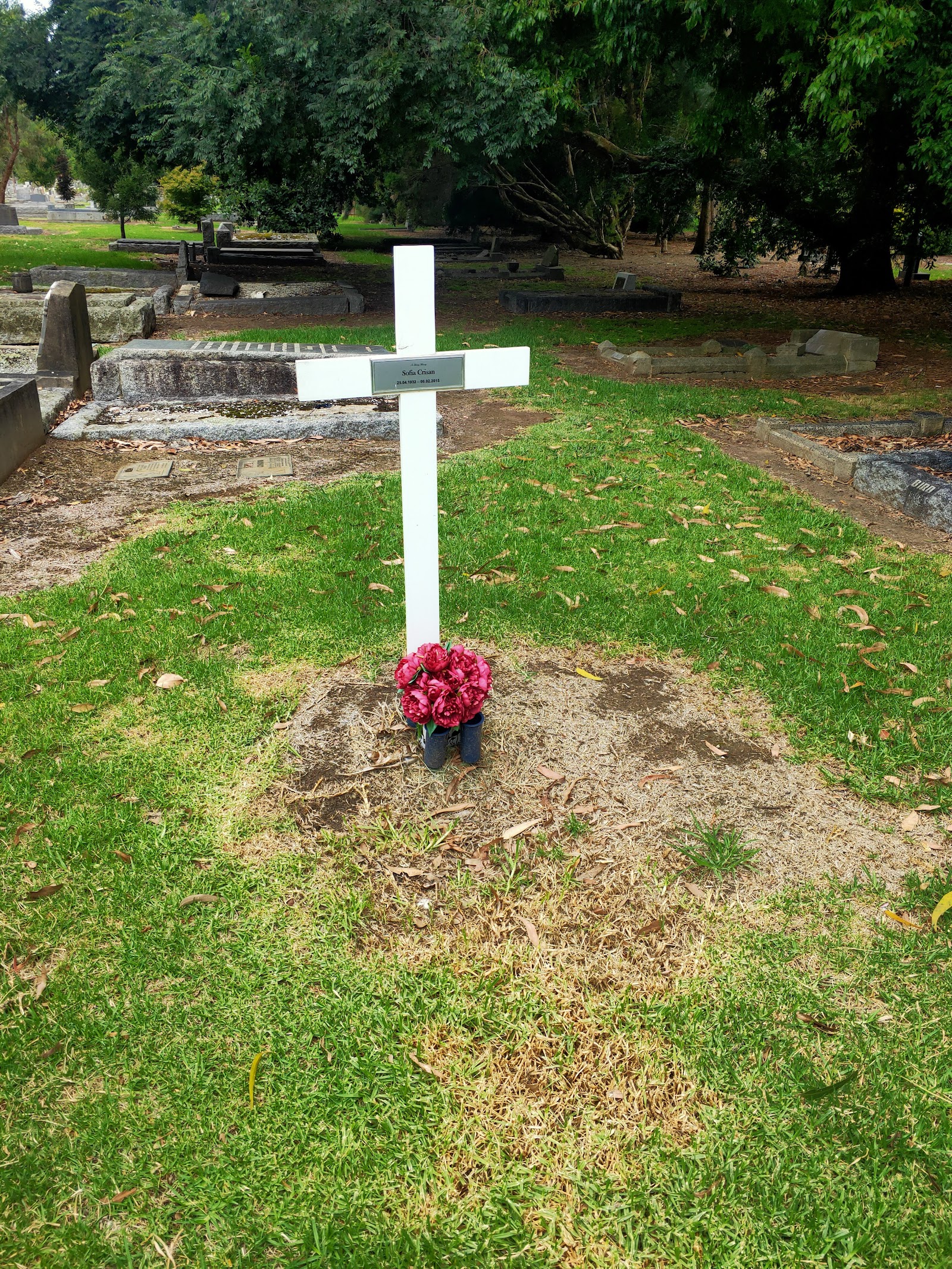 Cemetery Bend, Arcadia Streamside Reserve 8