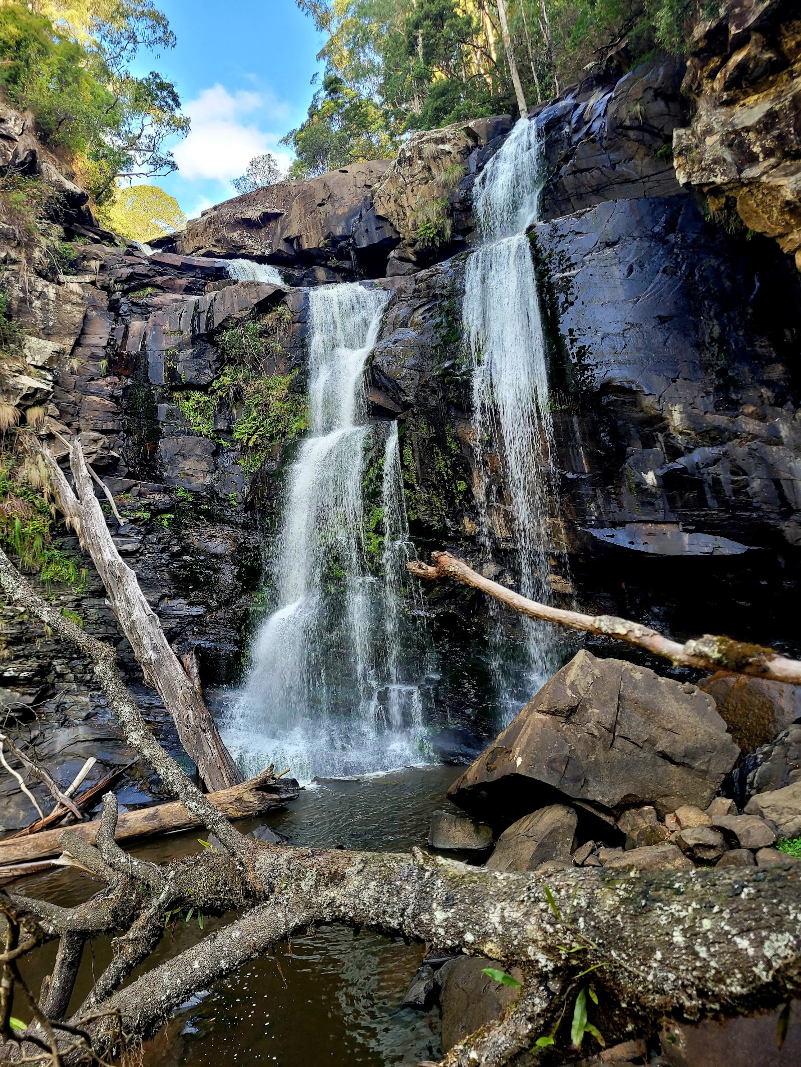 Stevensons Falls Campground 2