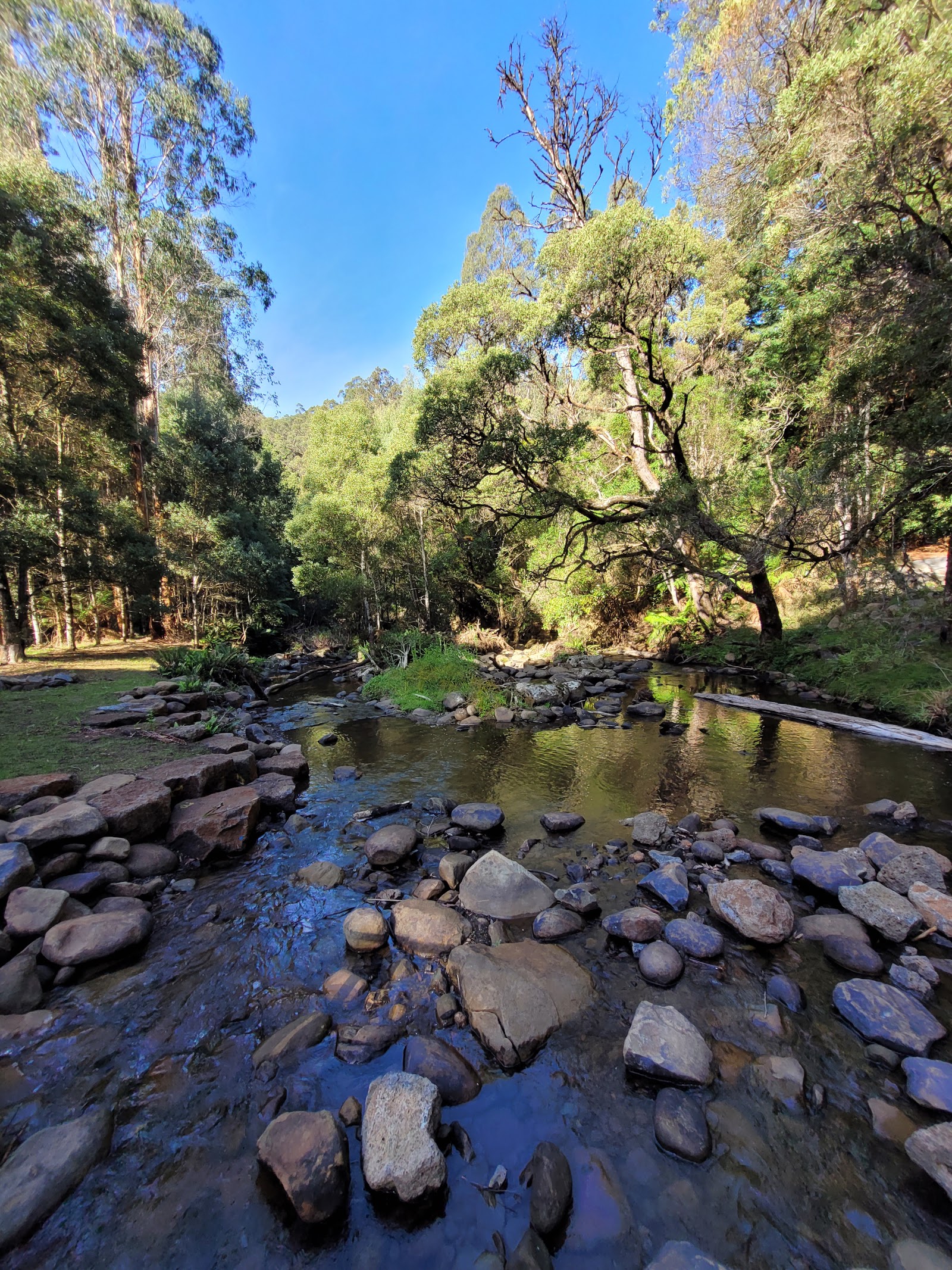 Stevensons Falls Campground 3