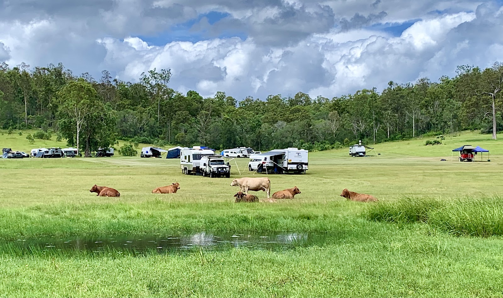 Gootchie Creek Escape 2