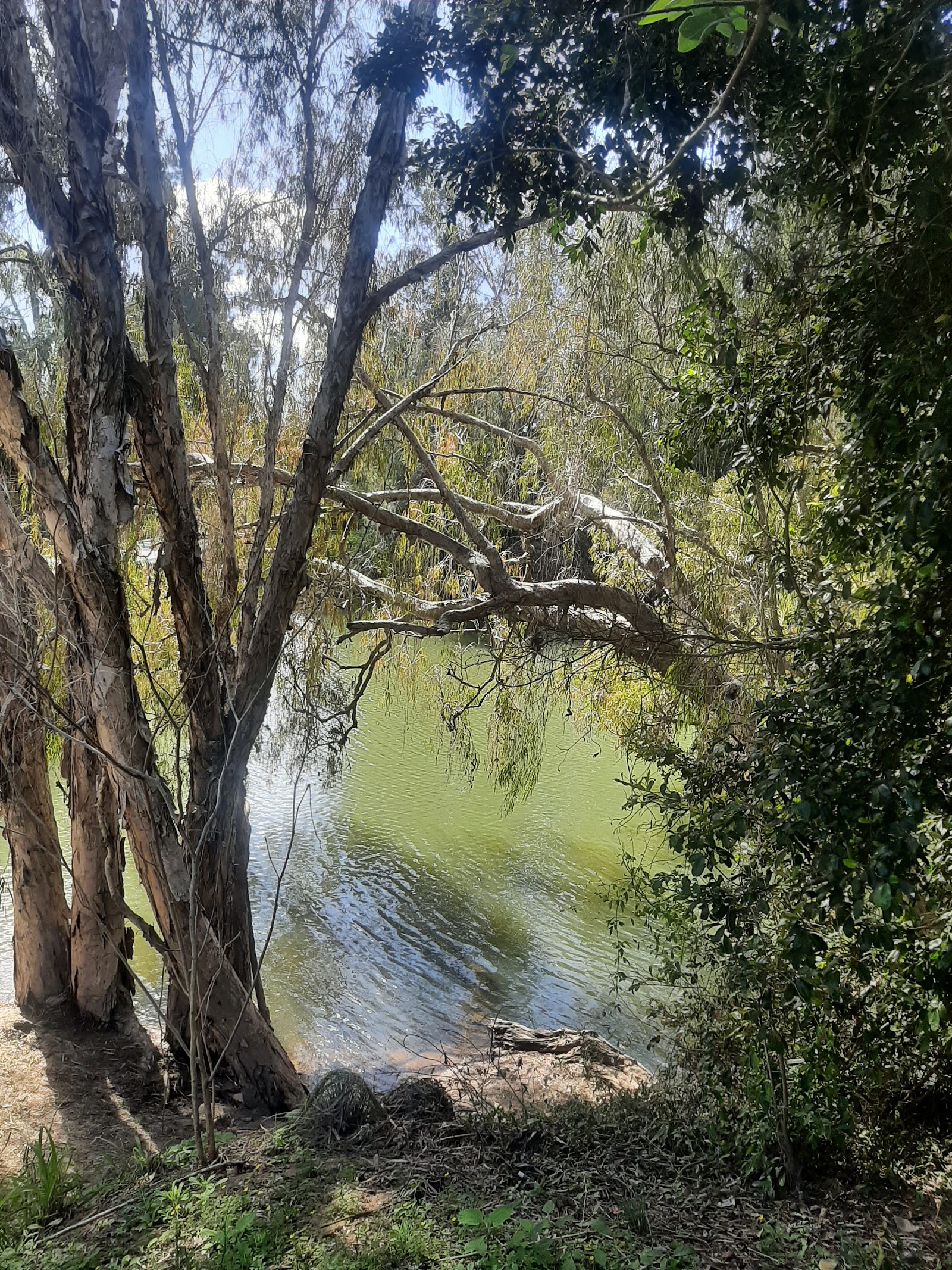 Funnel Creek 6