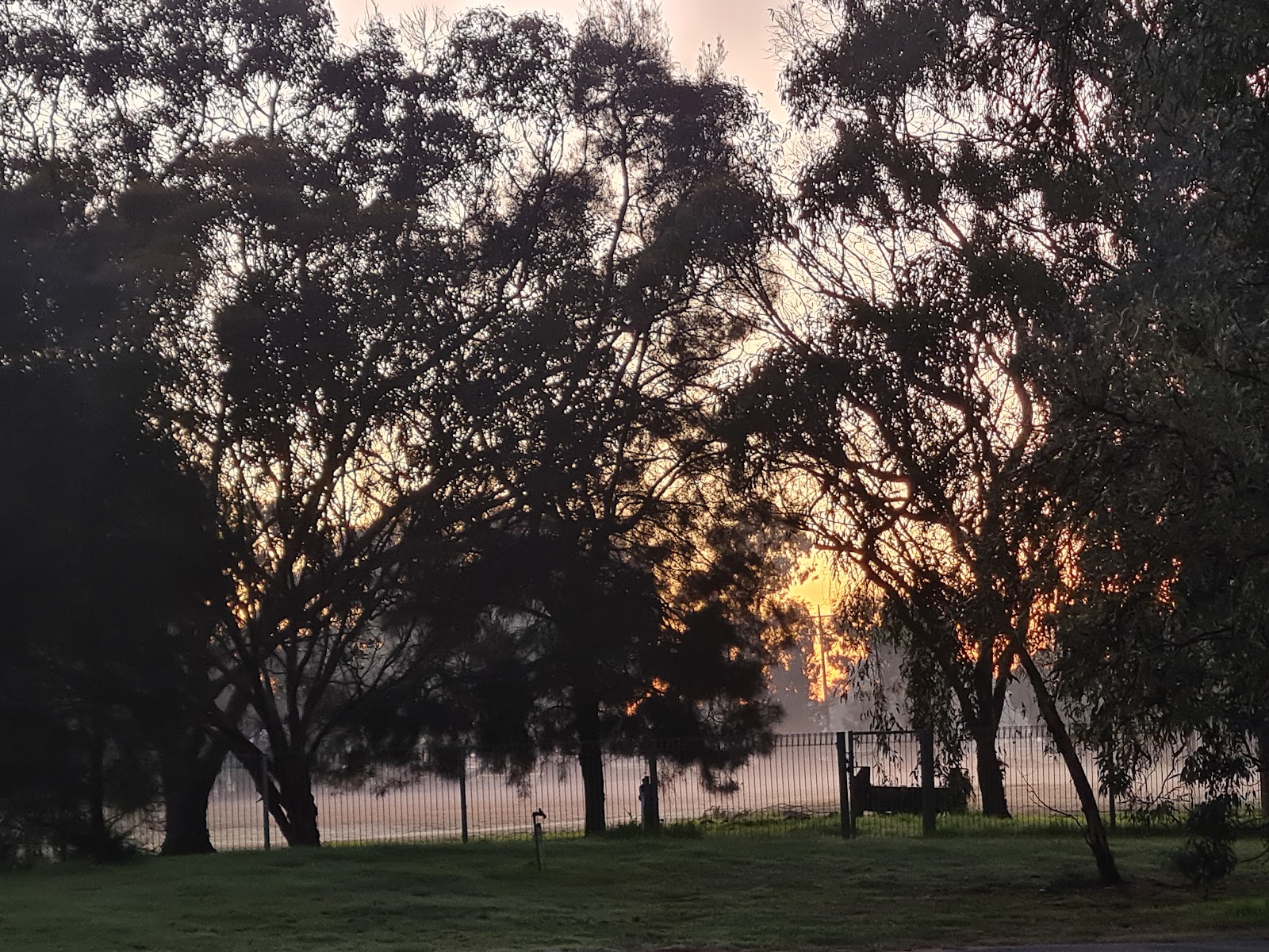 Bills Park 2