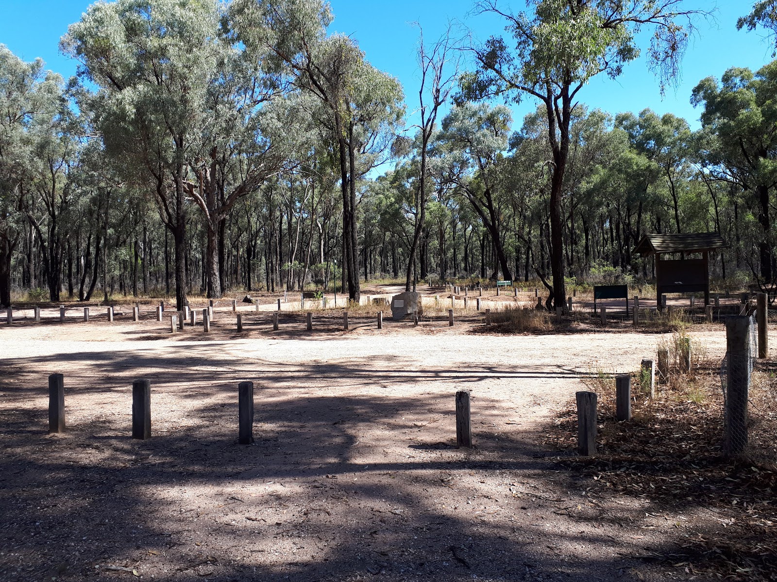 The Forest Camp 2